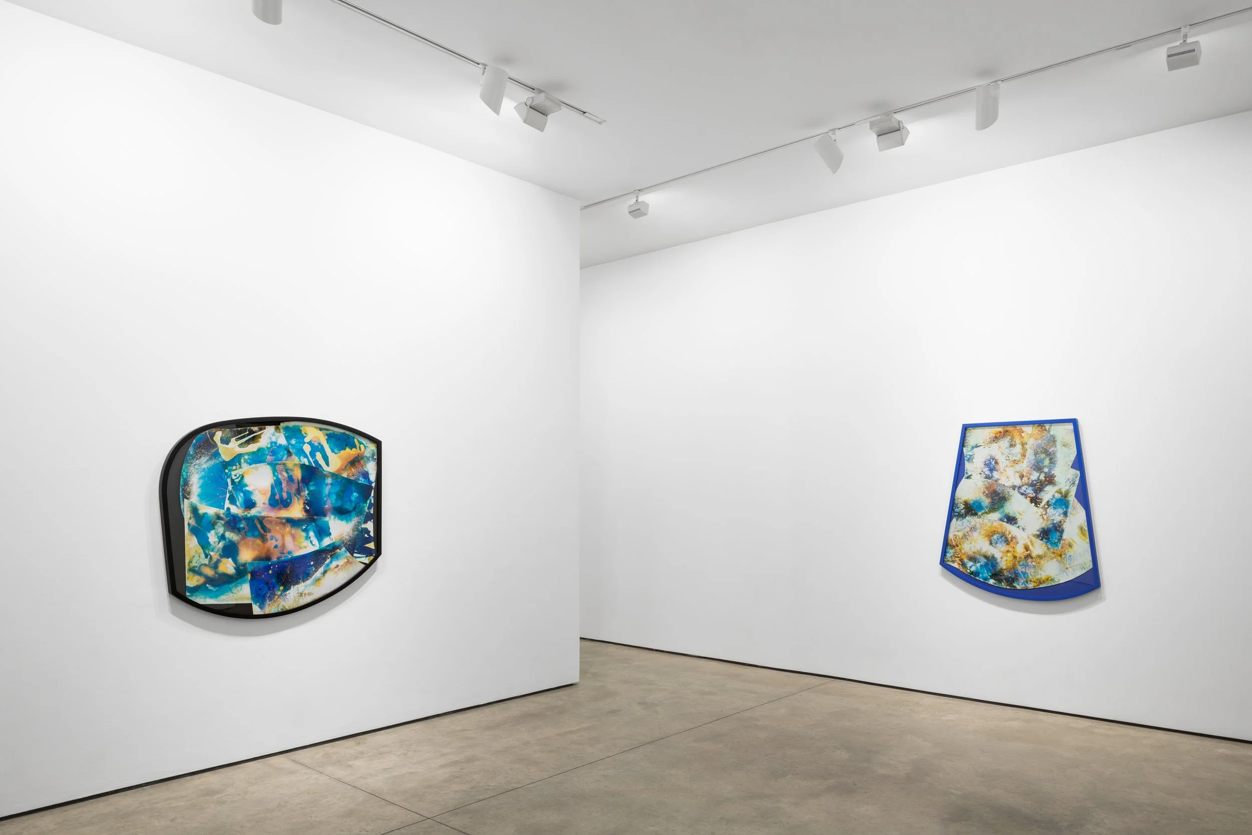  CUT UP, Lora Reynolds Gallery, Austin, TX, Mariah Robertson, photography, art  