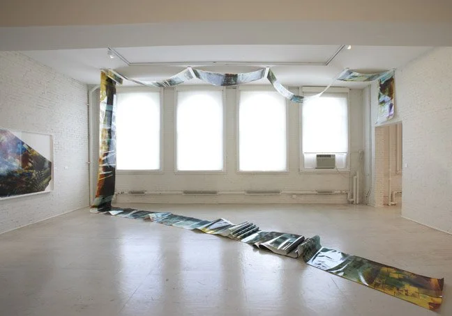  
088, 2010
 Unique c-print
 30 x 1200 inches
 (76 x 3048 cm)
 Installation variable
  Installation view  at MoMA PS1, 2010
   Mariah Robertson, photography, art   


