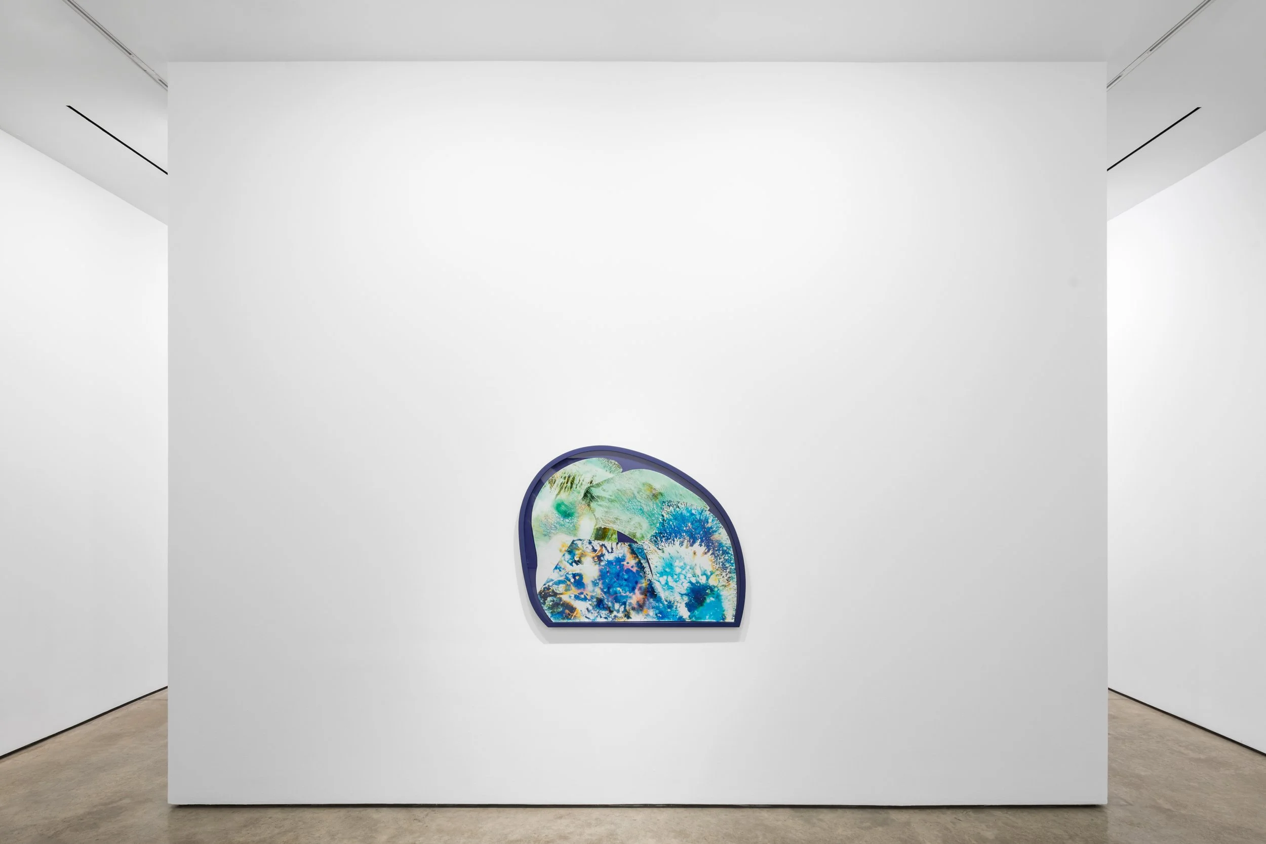  CUT UP, Lora Reynolds Gallery, Austin, TX, Mariah Robertson, photography, art  