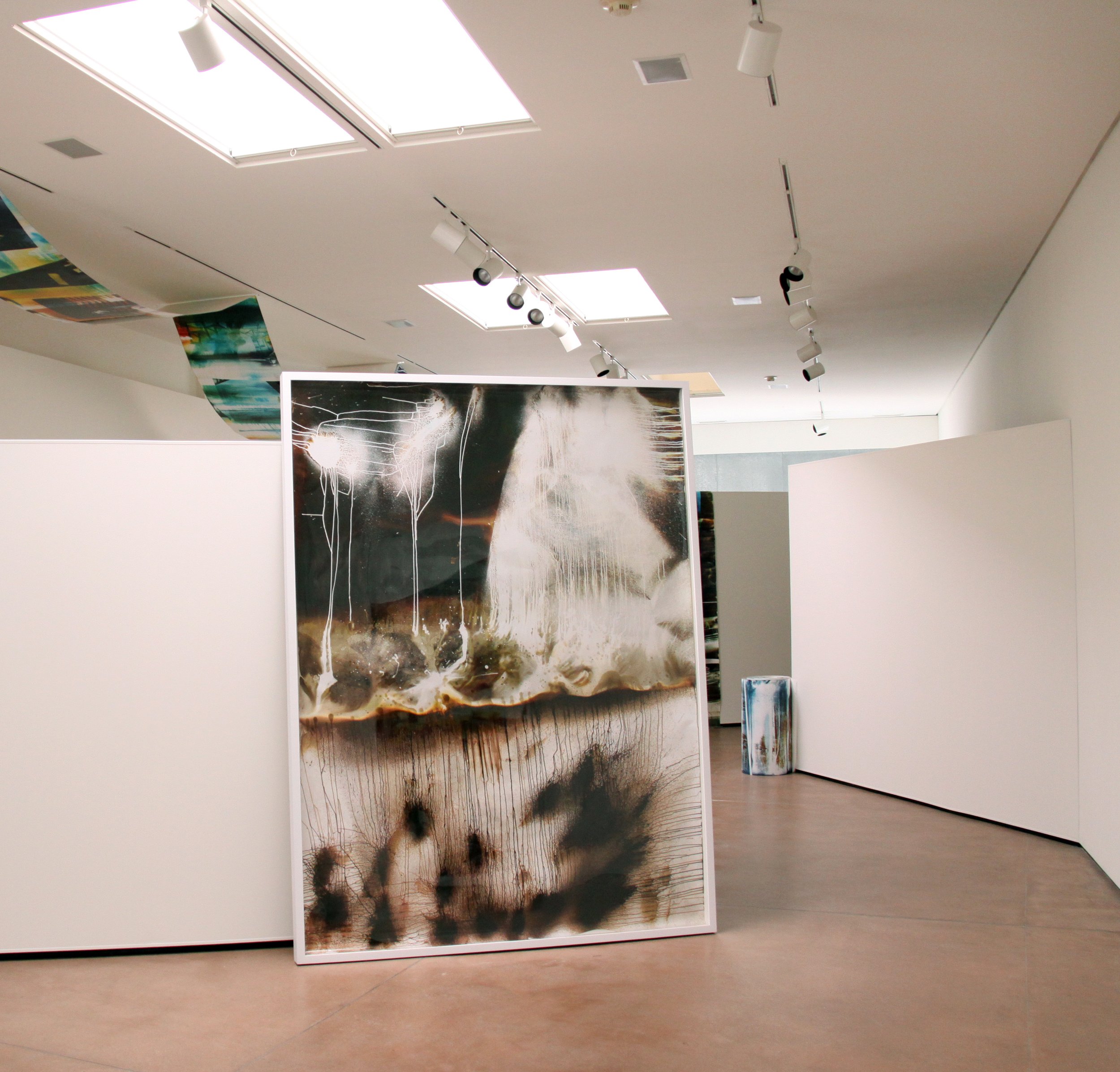  Let’s Change, Grand Arts, Kansas City, MO, Mariah Robertson, photography, art  
