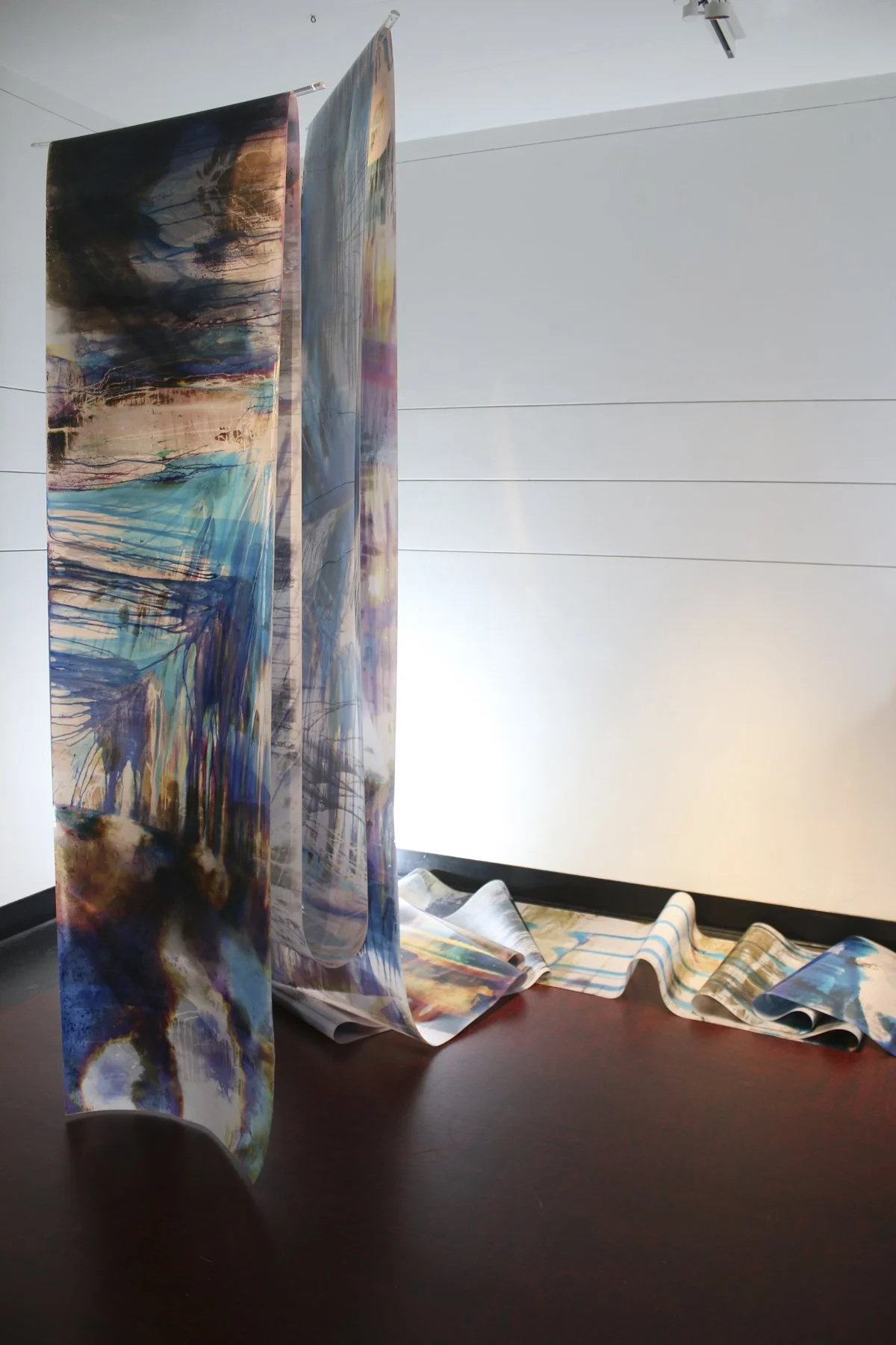  Swope Art Museum, Terre Haute, IN, Mariah Robertson, photography, art  