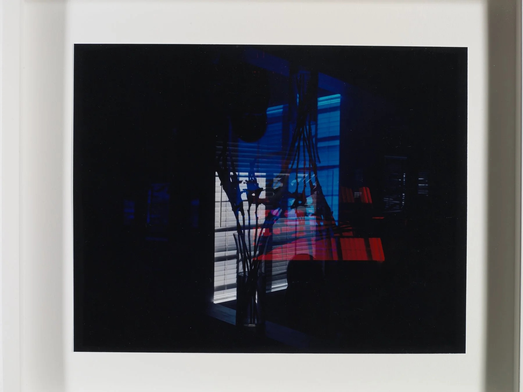 Nudes, Still Lives and Landscapes, Guild & Greyshkul, New York, NY, Mariah Robertson, photography, art  