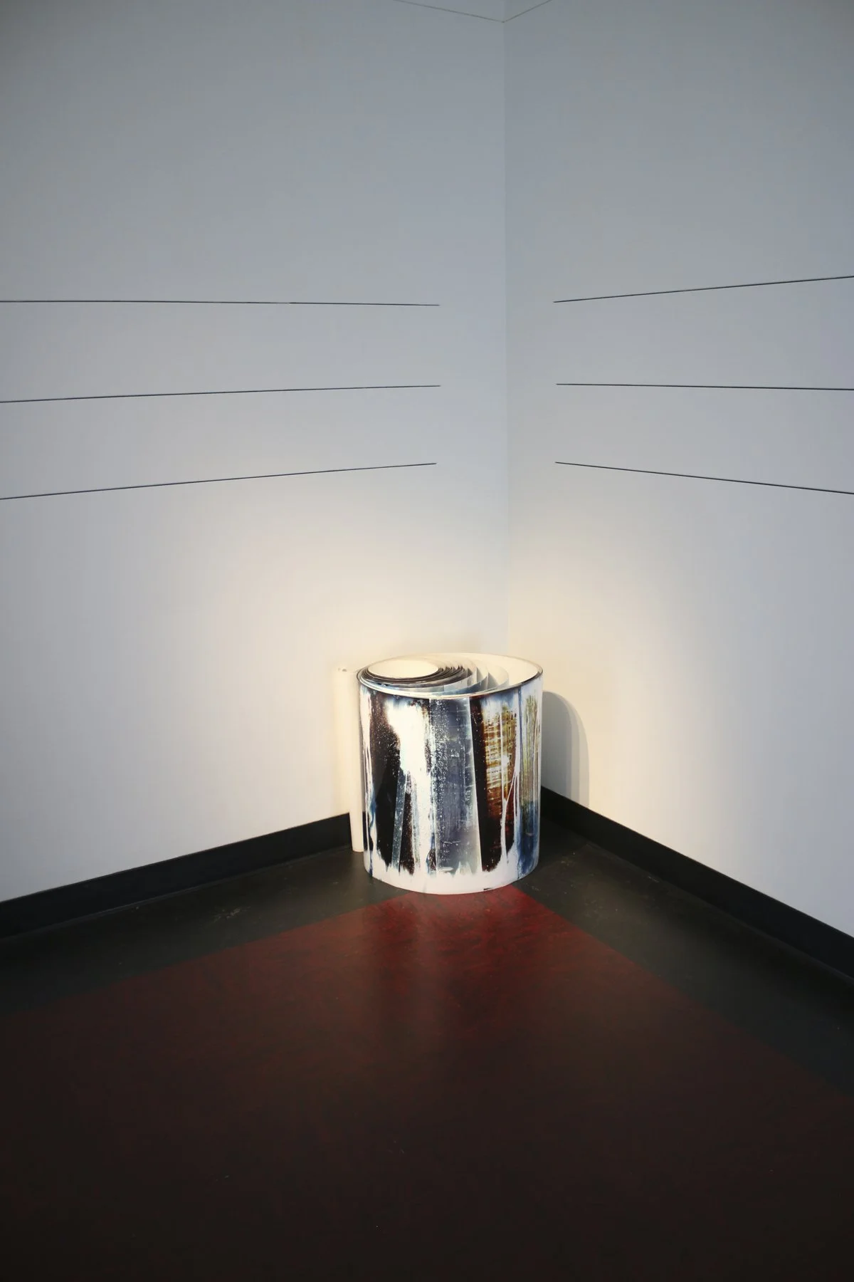  Swope Art Museum, Terre Haute, IN, Mariah Robertson, photography, art  