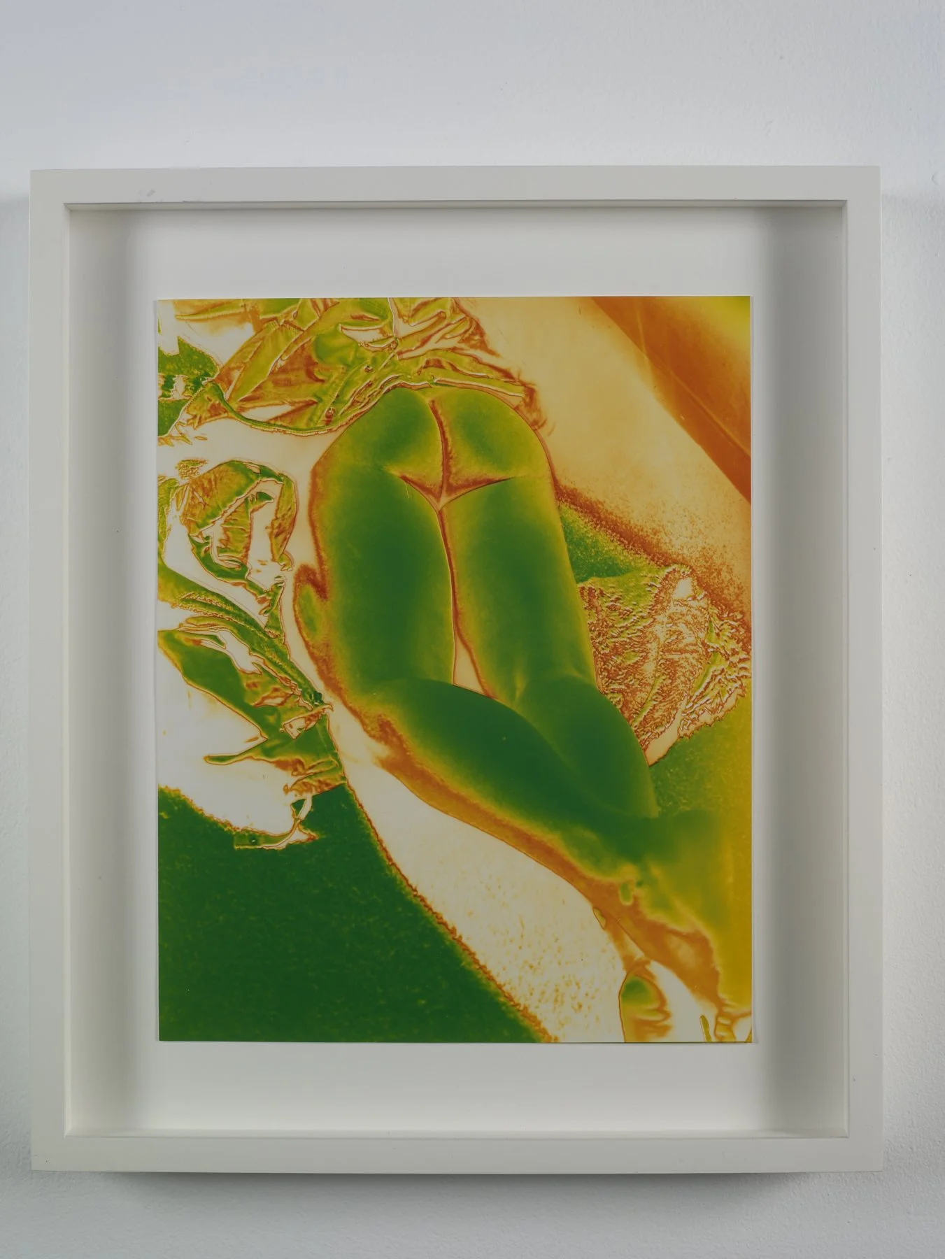  Nudes, Still Lives and Landscapes, Guild & Greyshkul, New York, NY, Mariah Robertson, photography, art  