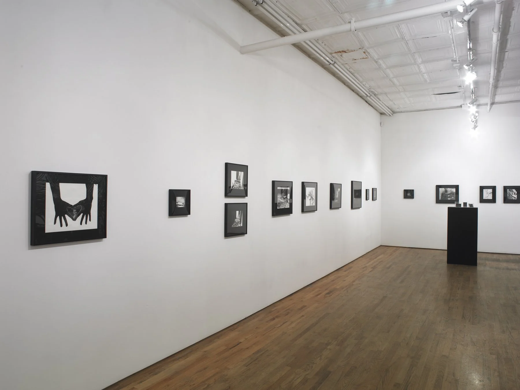  Nudes, Still Lives and Landscapes, Guild & Greyshkul, New York, NY, Mariah Robertson, photography, art  