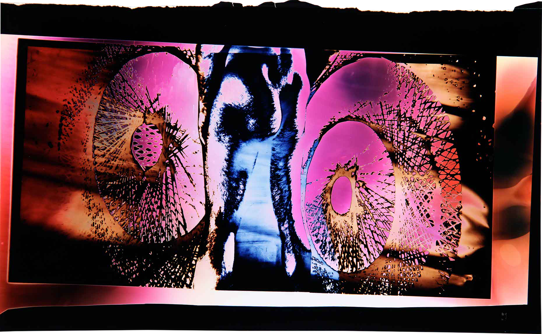  
058, 2008
 Unique C-Print
 22 x 10 inches
 (55 x 25 cm)  Mariah Robertson, photography, art   