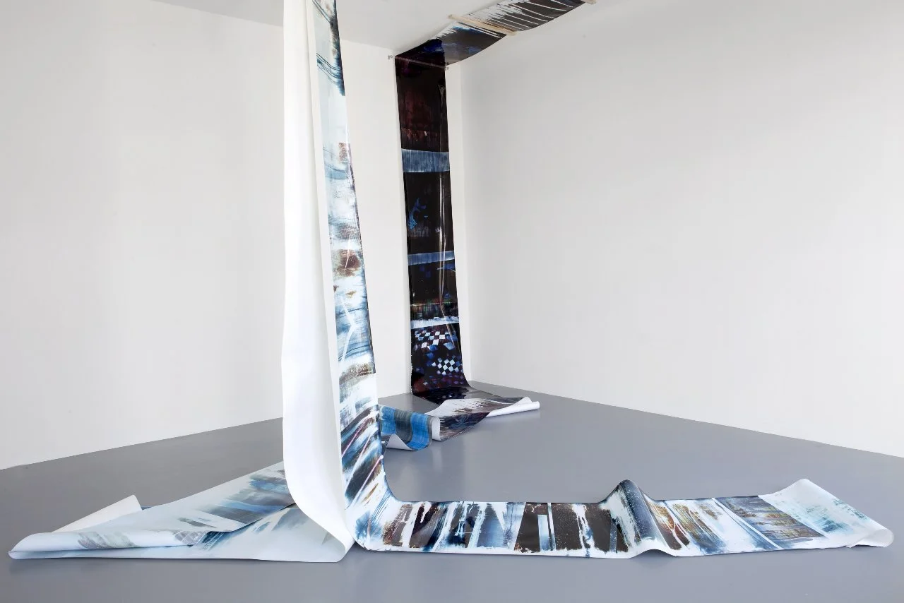  
014, 2011
 Unique c-print
 30 x 1200 inches
 (76 x 3048 cm)

 Installation variable
  Installation view at Gallerie Perrotin, Paris, 2011
   Mariah Robertson, photography, art    