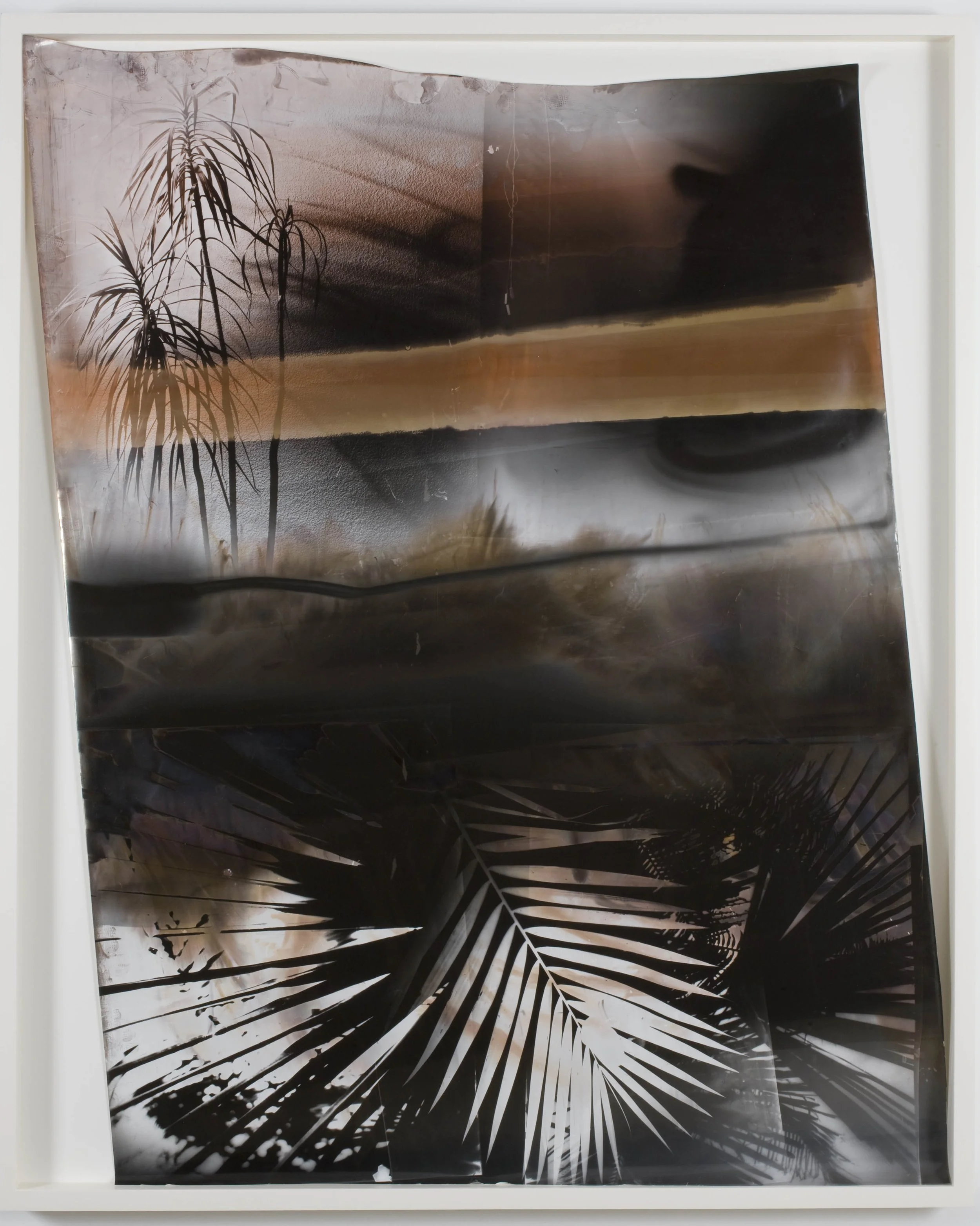  I am Passions, Marvelli Gallery, New York, NY, Mariah Robertson, photography, art  