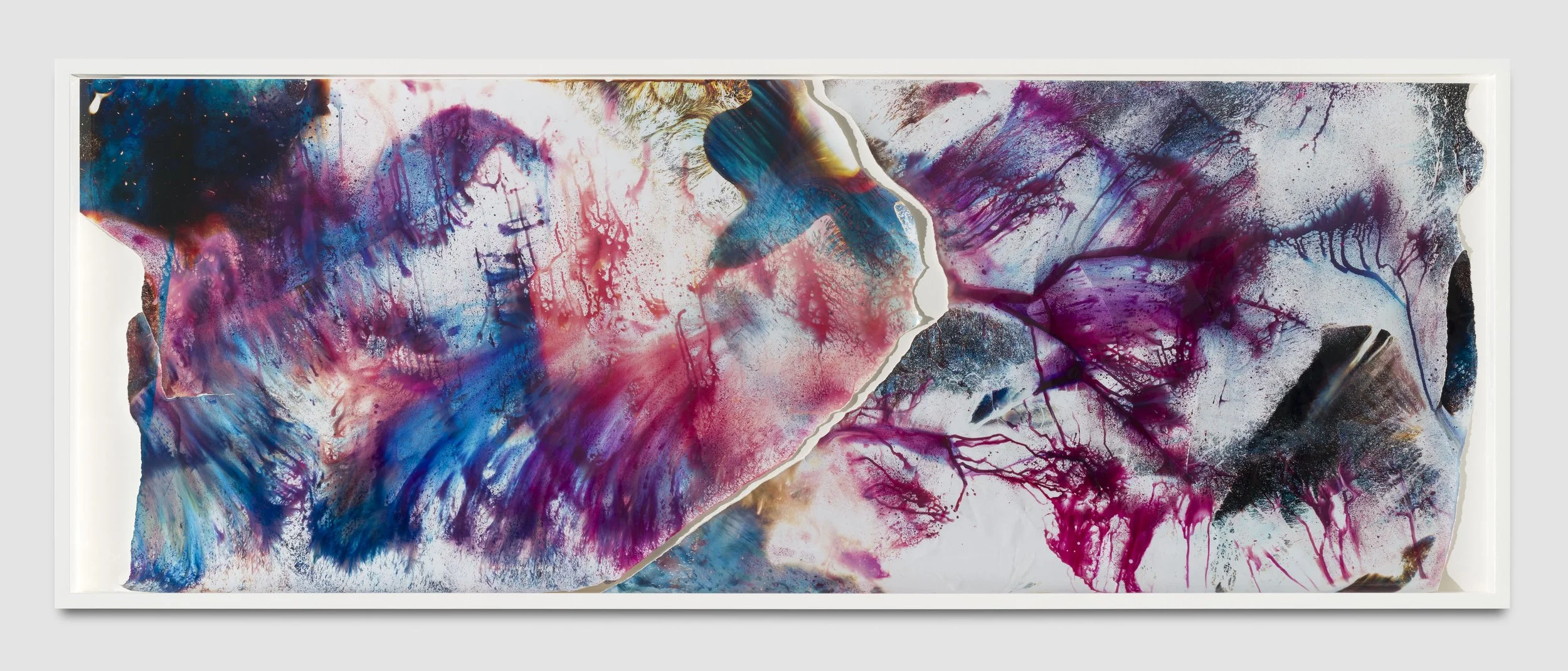 
 
"104 & 106, 2015," 2022
 Chemical treatment on RA-4 paper
 92 x 30 in
 (233.7 x 76.2 cm)
  Mariah Robertson, photography, art 
 

  Mariah Robertson, photography, art 
 
