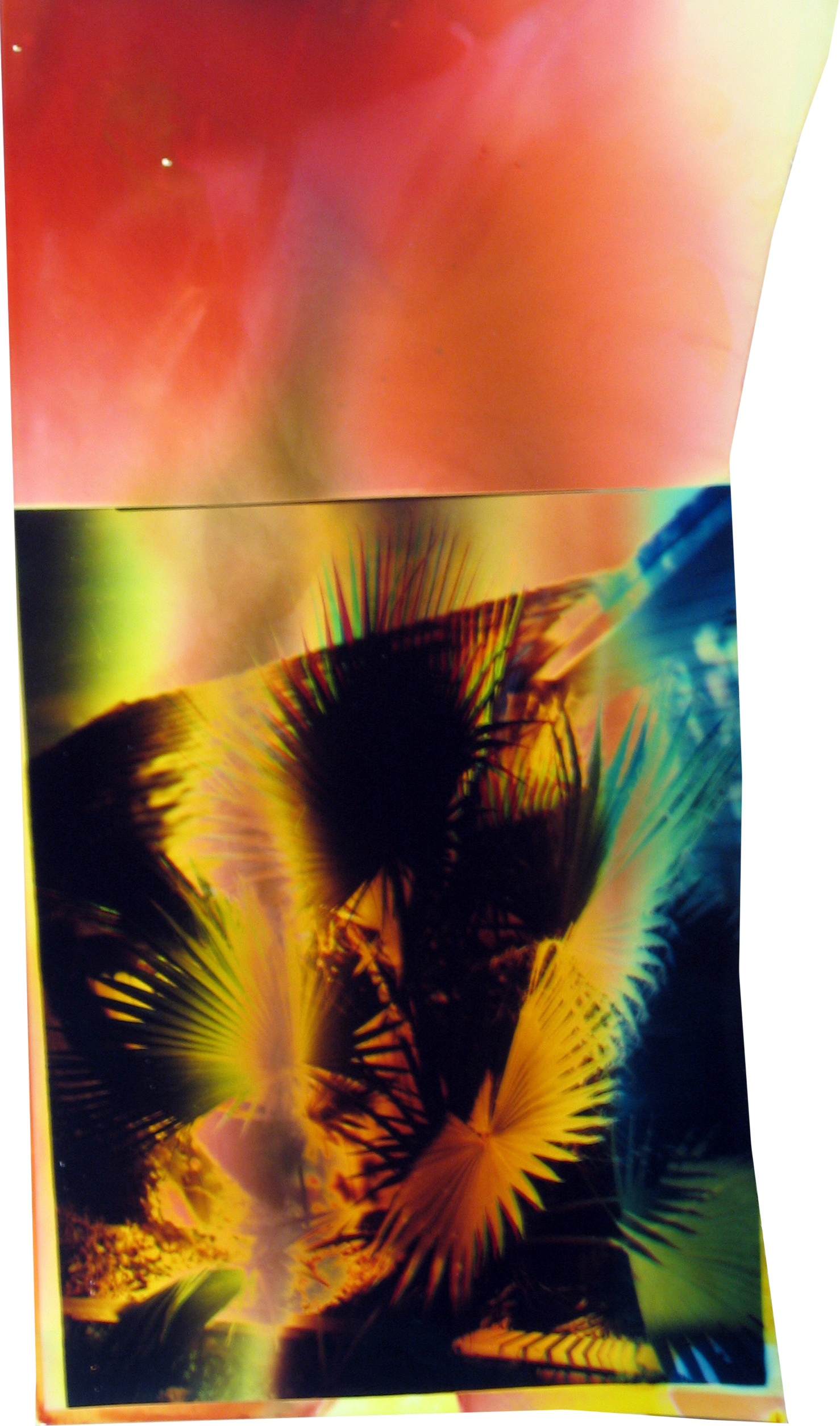  
187, 2008
 Unique C-Print
 4 x 12 inches
 (11 x 30 cm)   Mariah Robertson, photography, art   