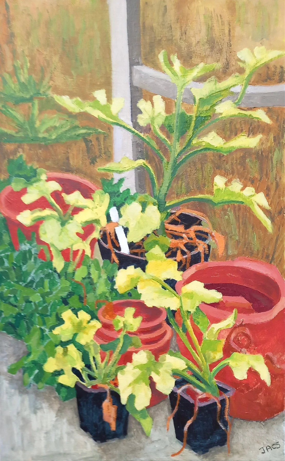  Courgettes with Terracotta Pots 
 39 cm x 61 cm 
 Oil on Canvas  