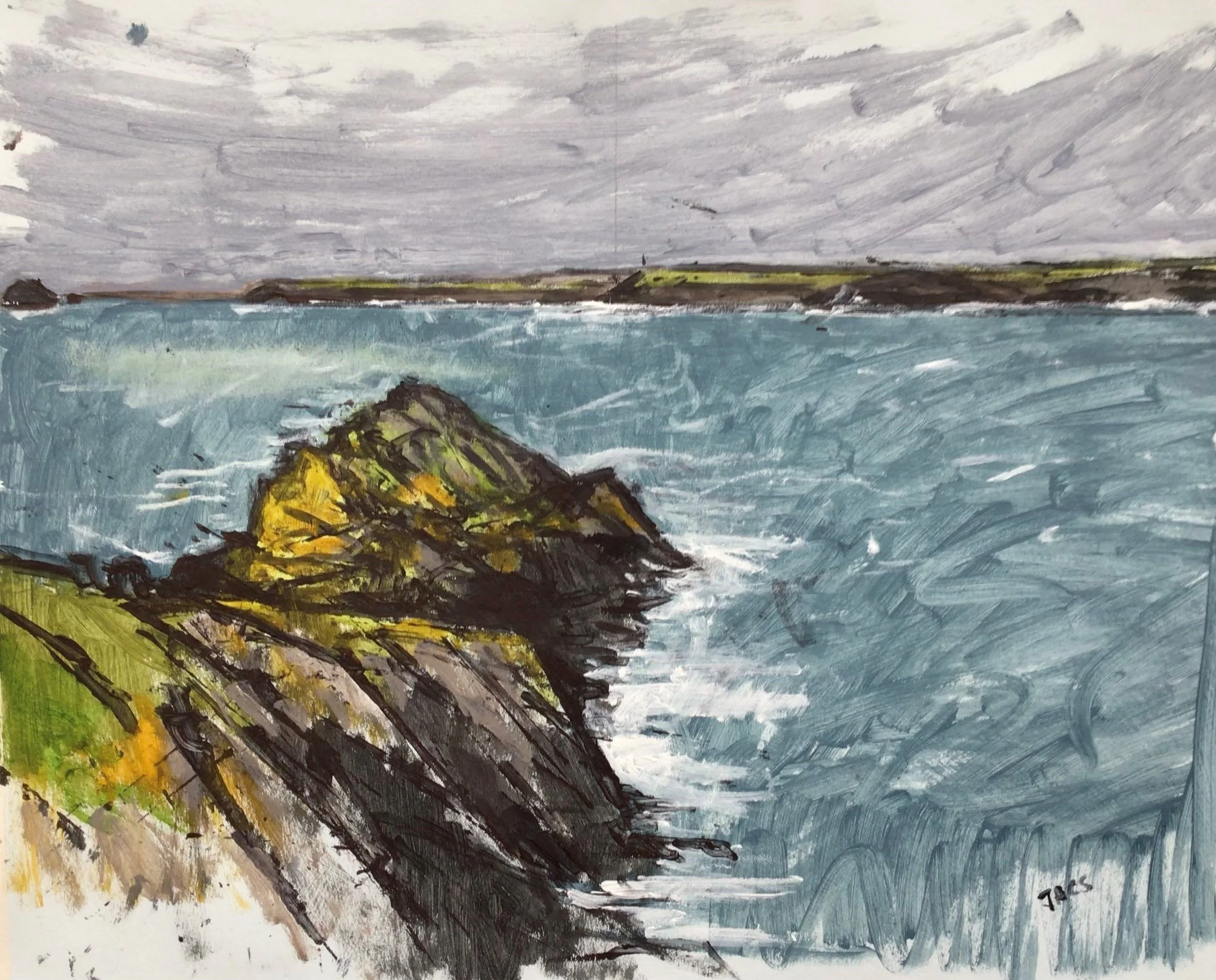  Long Cove 
  47 cm x 37 cm (Framed) 
  Acrylic on Paper  