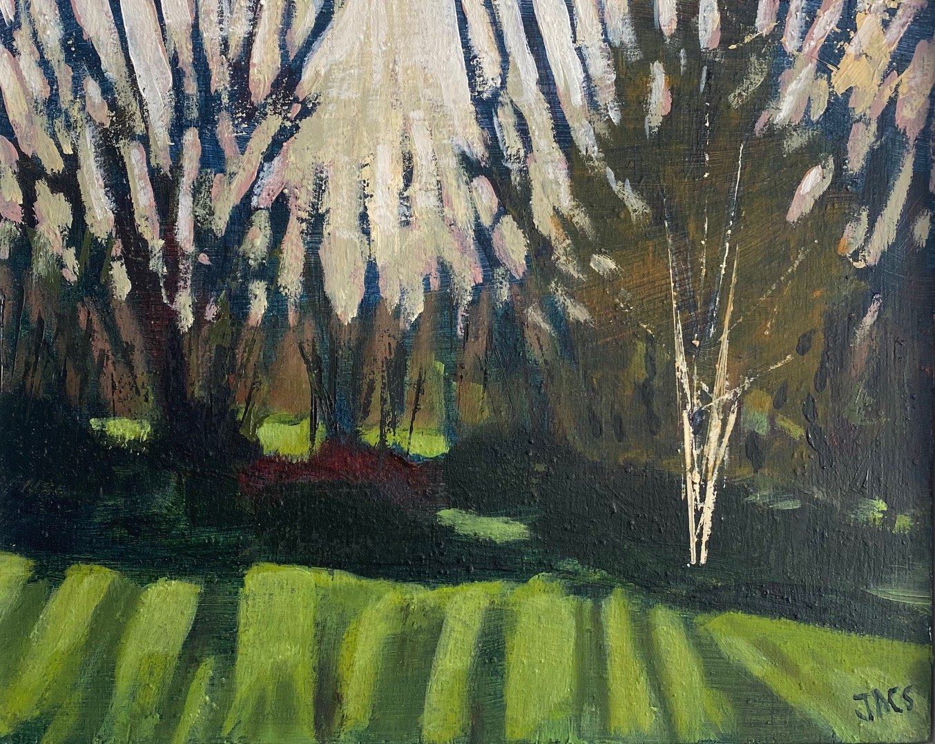  Silver Birch 
  33cm x 26cm 
  Oil (Framed)  