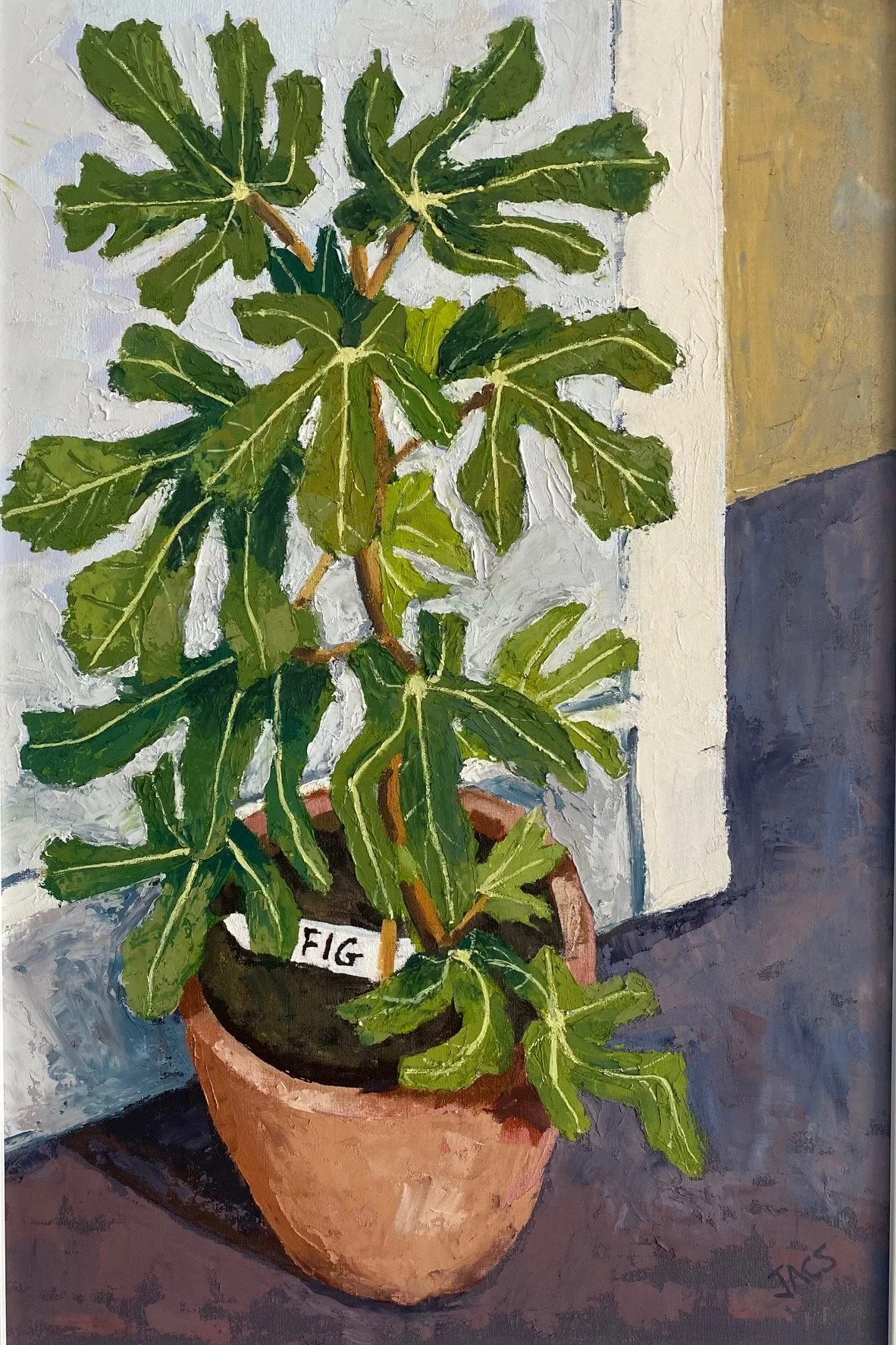  Fig Tree 
 48 cm x 68 cm 
  Oil (Framed) 