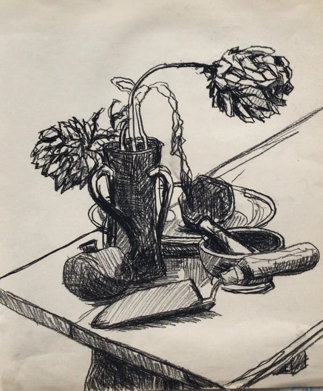 unnamed (13).jpg