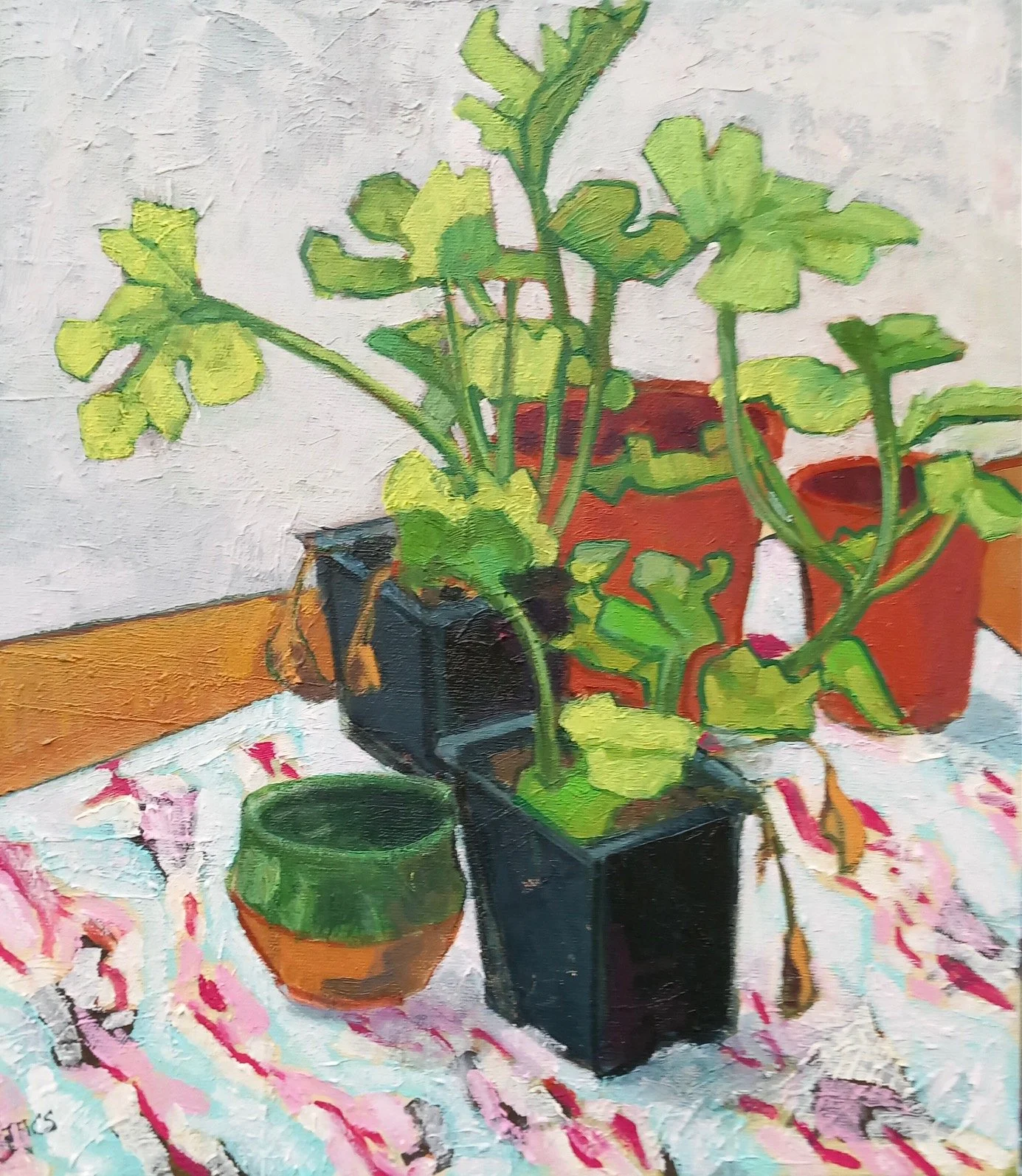  Courgettes Ready for Planting Out 
 41 cm x 47 cm 
 Oil on Canvas  