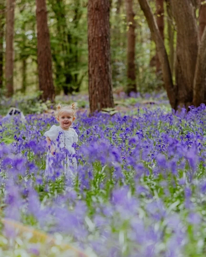 Daisy in the bluebells 🌼🌼🌼💙💙💙