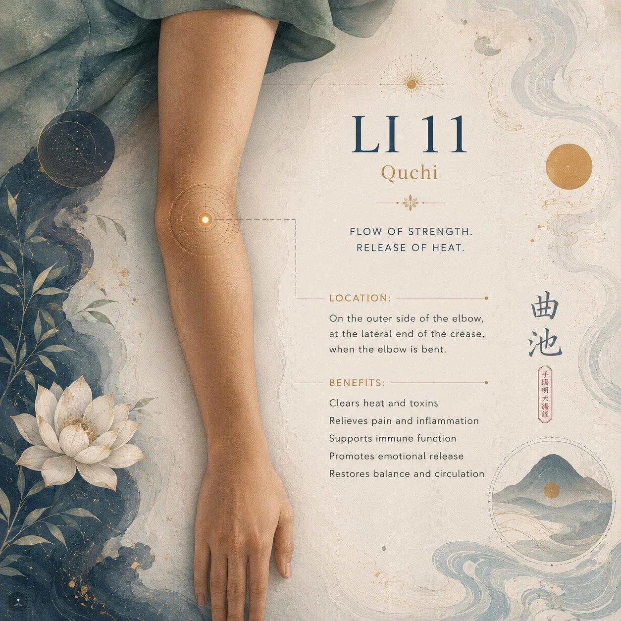 LI 11, or Quchi: “Pool at the Crook"