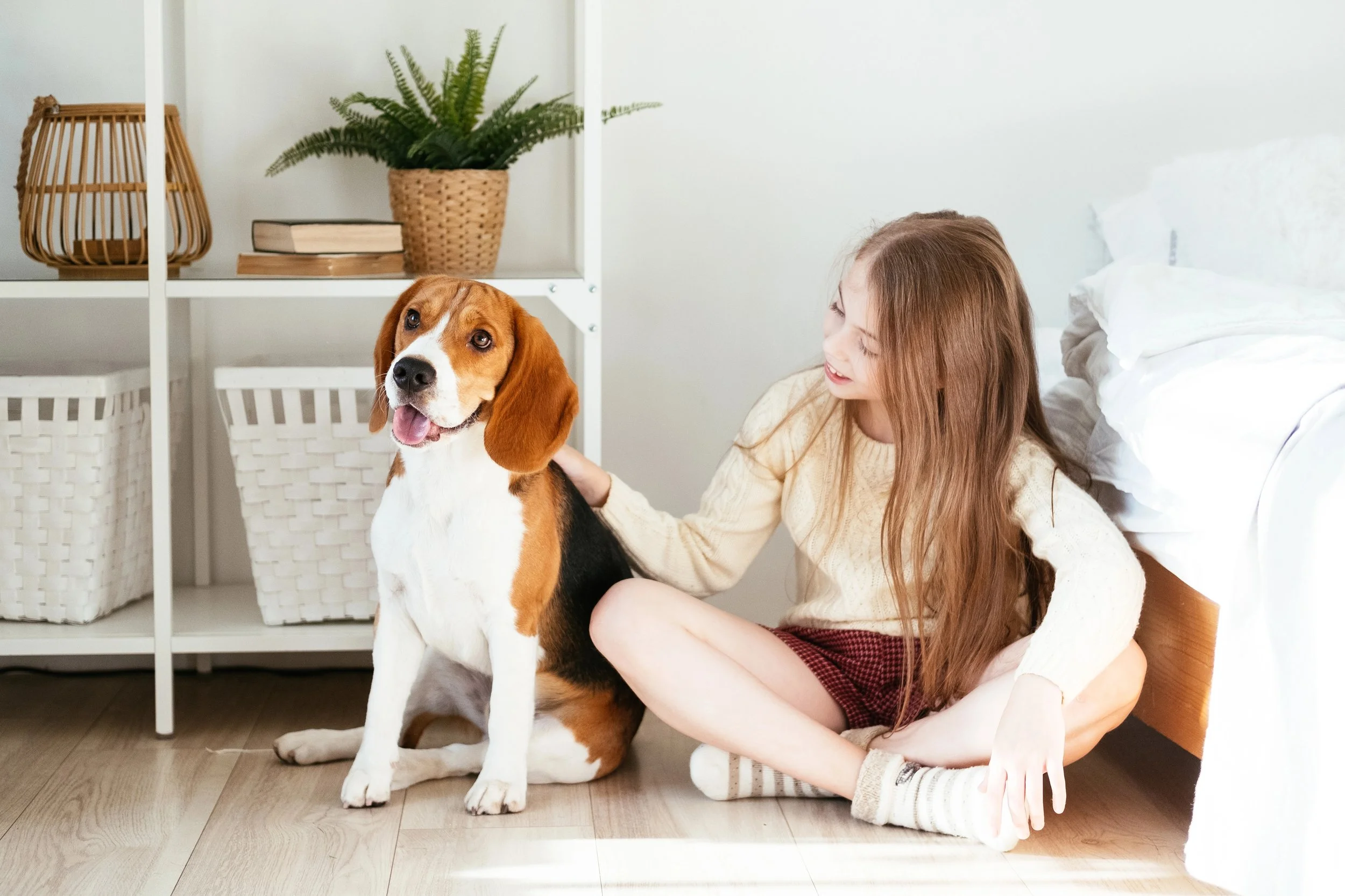 When Should a Dog See a Behaviourist? Signs It’s Time to Get Professional Help