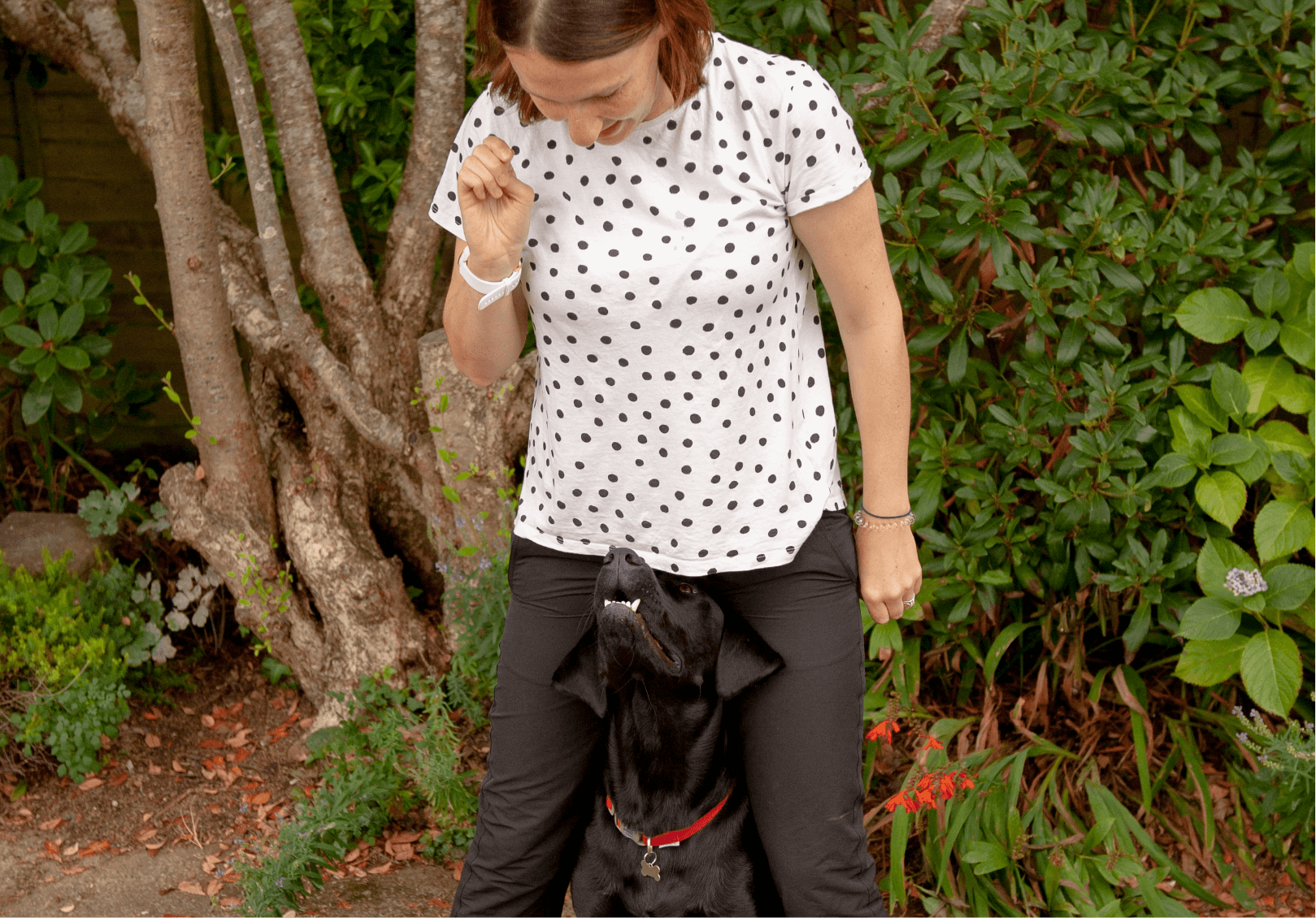 Photo of Clare Training a dog