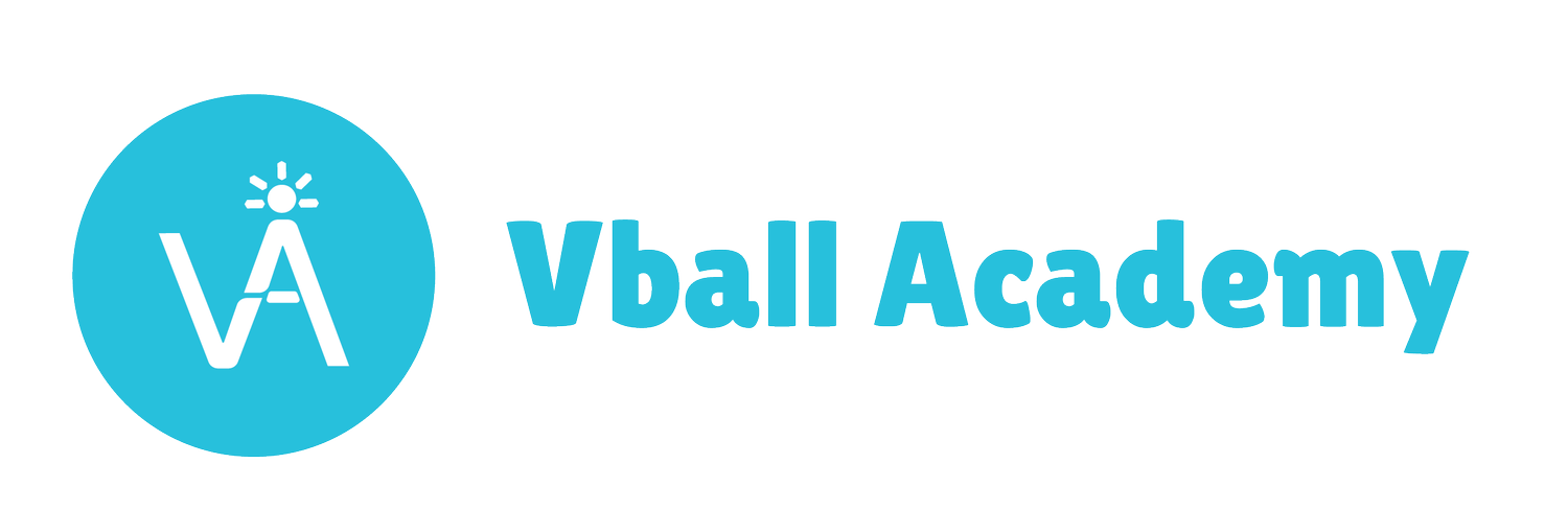 V-Ball Academy