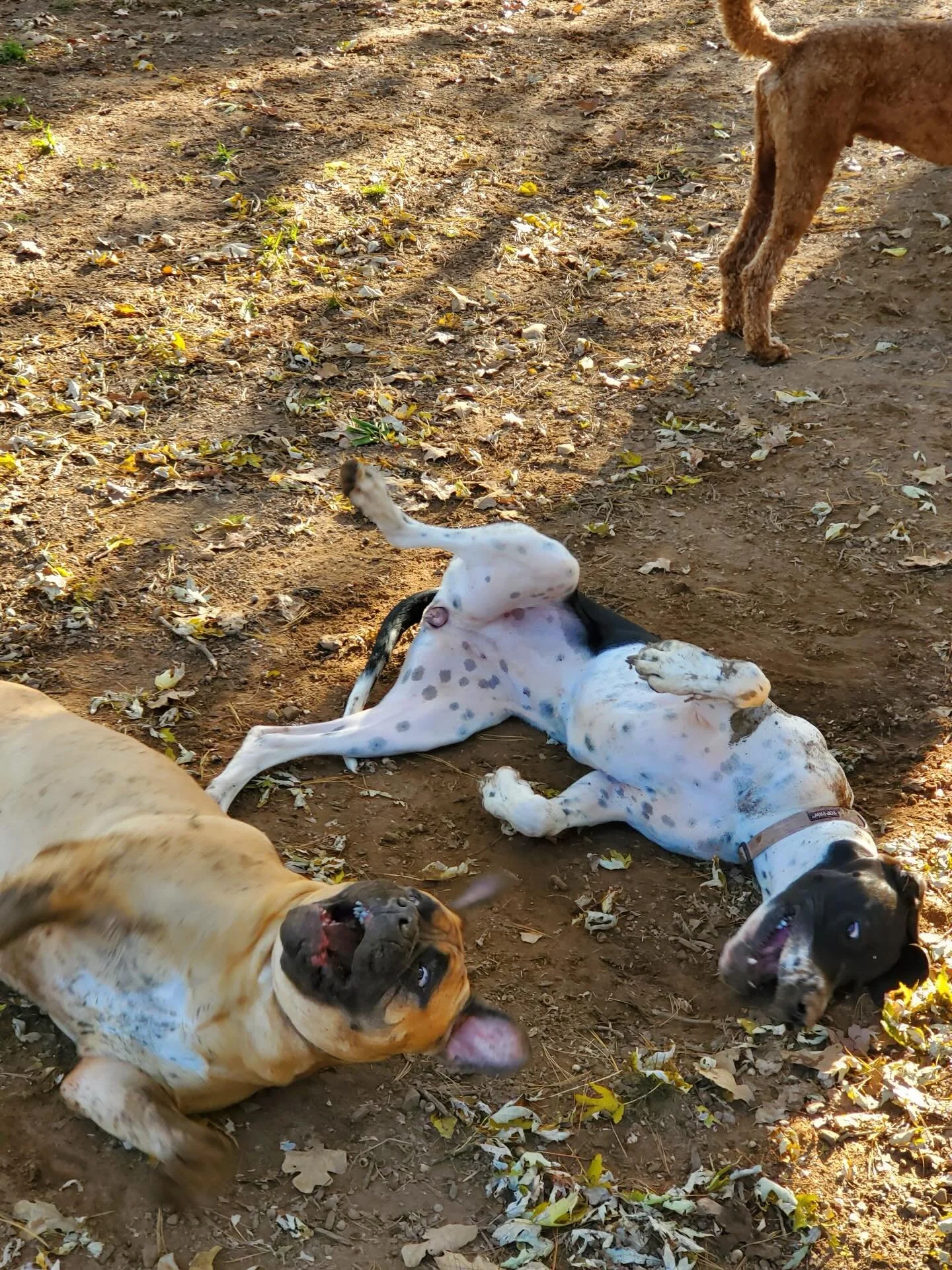 Poppy &amp; Nina 🤣