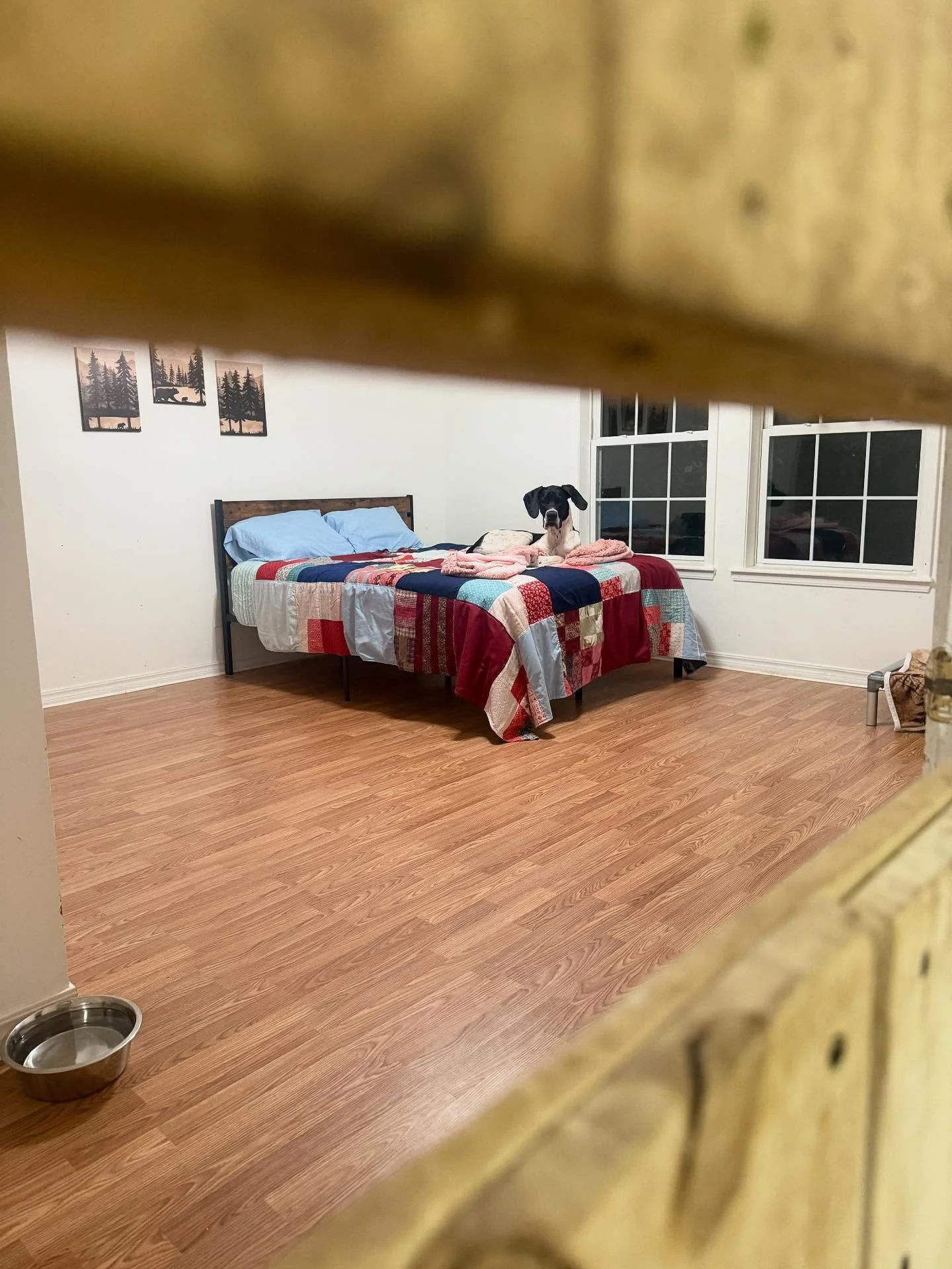 &ldquo;Hahahah Nina has more room than her family will at our hotel tonight. Thank you for taking such great care of our Nina girl ❤️❤️&rdquo; 😎 🐶 

Nina The Great Dane loves us &hellip; so will you!