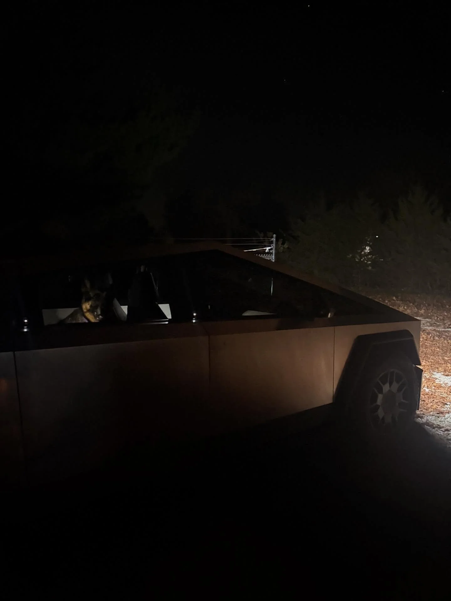 Gemma!!! She got a late night dog bath as she goes home at 11pm tonight -&gt; her parents skipped work and went on a cruise for a week 🙄

She heard we finally got the new Full Self Driving update and wanted to test it out before she went home 😎

PS