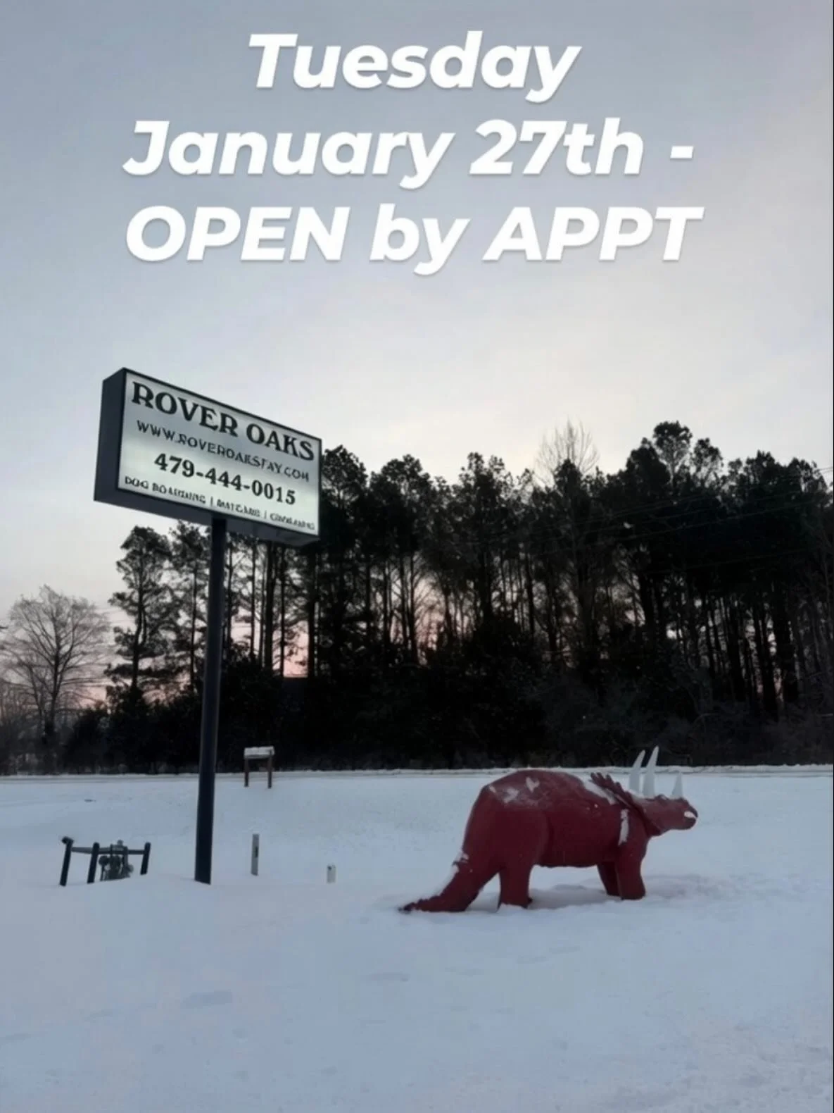 OPEN by APPT only. CLOSED for grooming and bathing. 

When the city, u of a, and other schools shut down we shut down our lobby 😛 but we are still open for daycare/boarding -> just by appt. 

How do I make an appt? Text us. Call us. Don&rsquo;t e