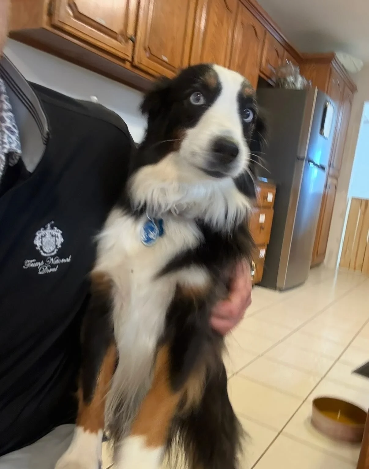 It&rsquo;s COLD out but that hasn&rsquo;t stopped Chili from being sent to timeout 3 times today -> and it&rsquo;s not even 11am 🙃

YES we make the dogs HELP with the DISHES! Just like you should at home 😉

PS - a good pic of the Princess (2nd p