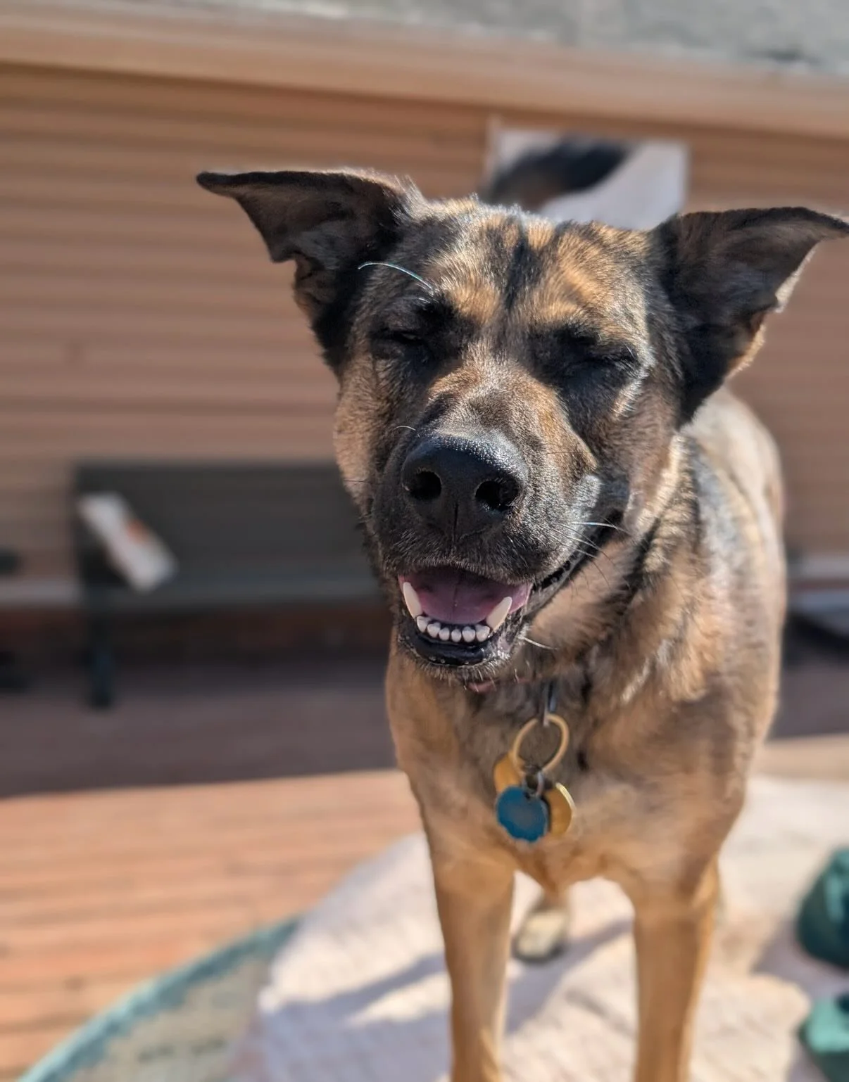 I forgot to post yesterday as all I did was work and fall asleep early 😛 here&rsquo;s some pics and I&rsquo;ll post extra lots today