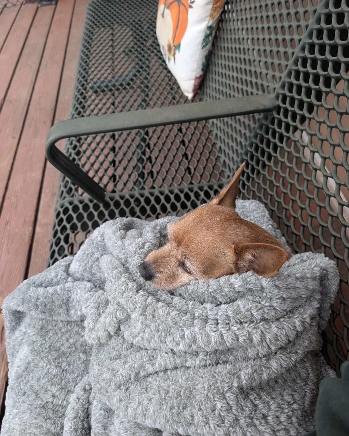 Stevie Nicks!! He loves to come to his hotel and chill even tho I&rsquo;m constantly calling him a she and this time it&rsquo;s not even trolling 🤣

Bought about 40 gallons of shampoo recently at average about $60 a gallon (we try to use the best pr