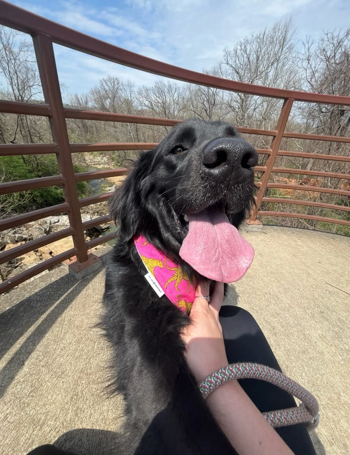 Dickson! She told Collyns she wanted a break and booked herself an excursion to the lake 😛

SMALL DOG GOLF CART RACE @ 4PM 🚨