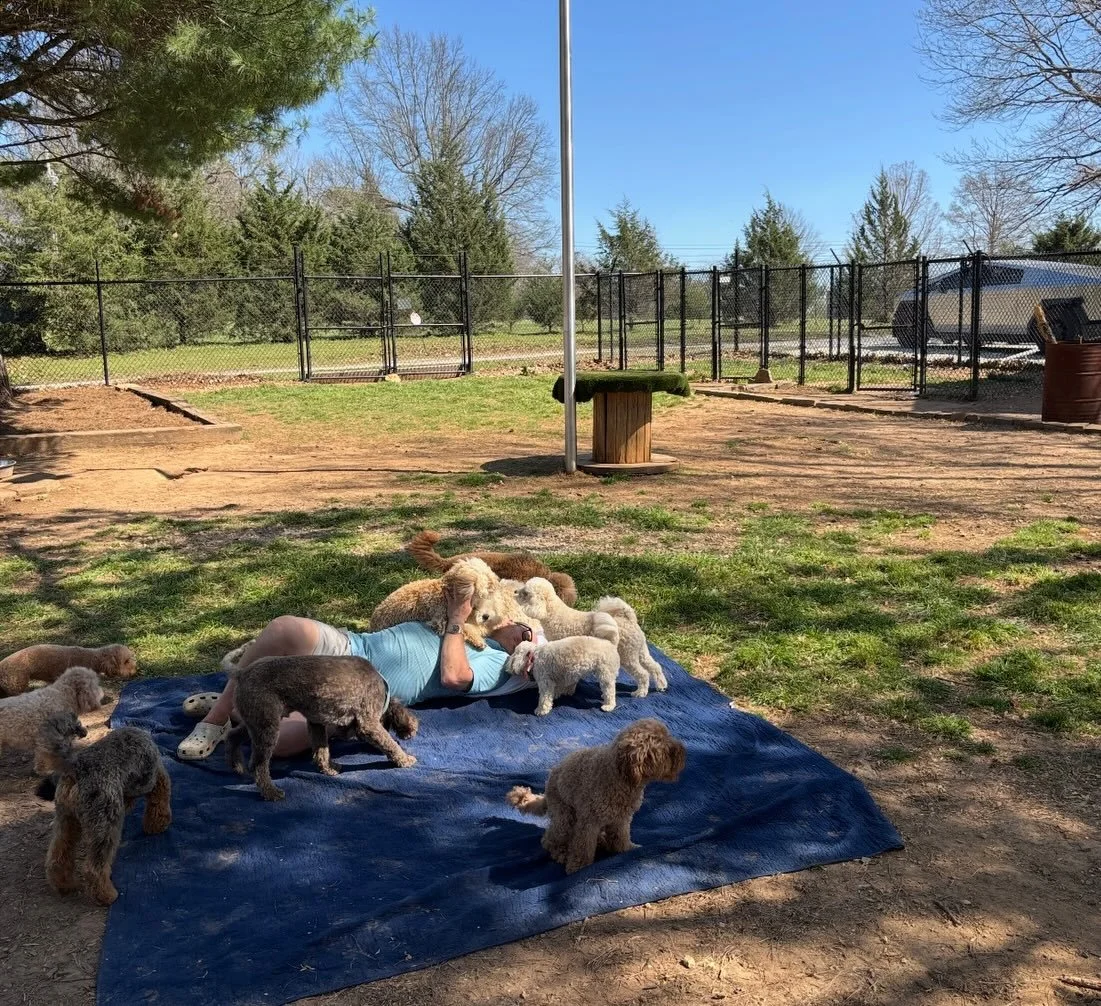 3pm is DOODLE HOUR at Rover Oaks where I finally stop working and take a break 🤣

PS: 335 minutes until DOODLE HOUR 😎