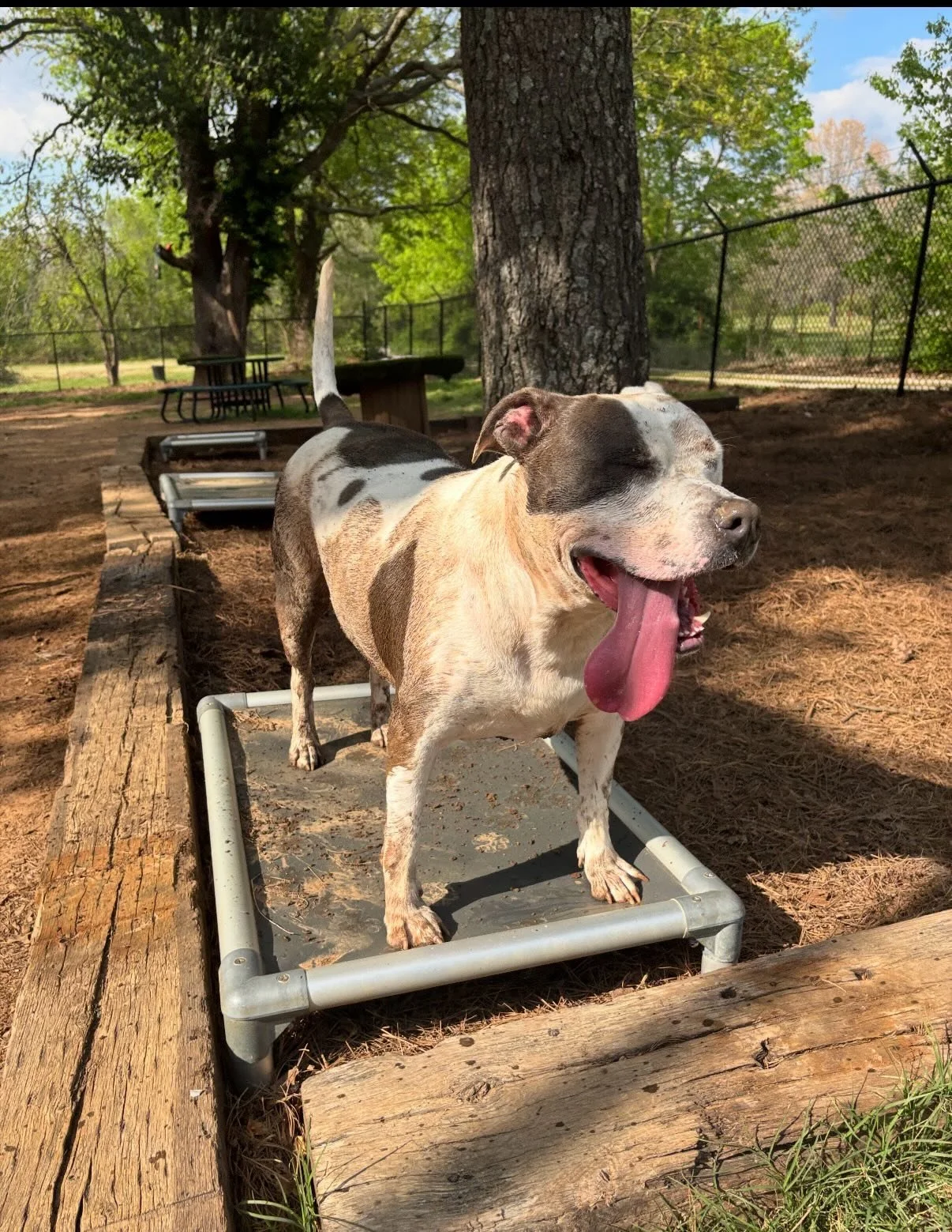 &ldquo;The grass is not, in fact, always greener on the other side of the fence. No, not at all. Fences have nothing to do with it. The grass is greenest where it is watered. When crossing over fences, carry water with you and tend the grass wherever