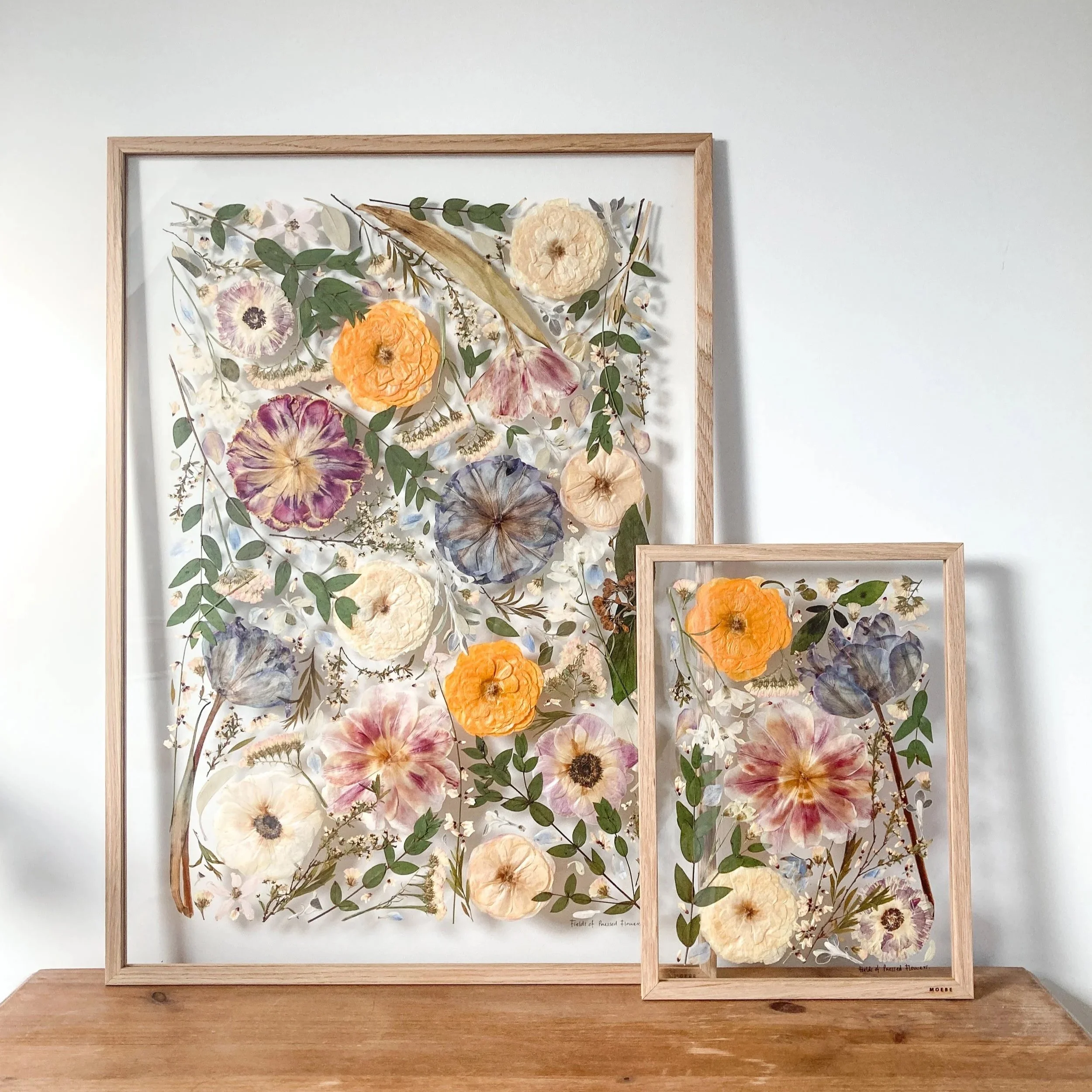 Two frames standing against a wall. The frames are light brown and are filled with pressed flowers in yellow, white and blue with green foliage.