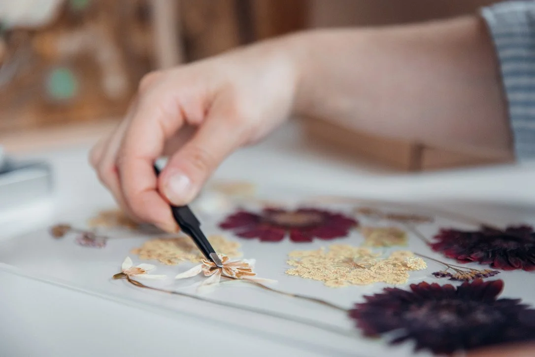 A close up of a hand using tweezers to place a preserved flower onto a glass panel. Other pressed flowers surround it.
