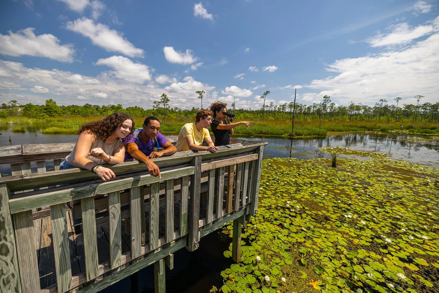 Big Branch Marsh National Wildlife Refuge, Louisiana Tourism, photo by LeClair Media