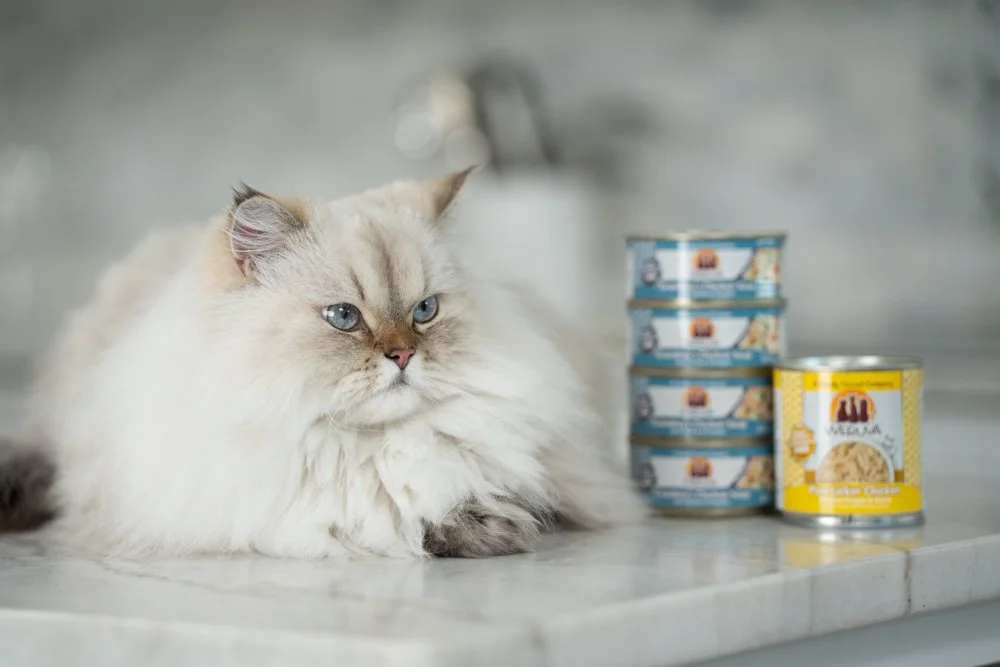 Weruva Pet Food Oct2024 raw, Love in Every Bite: A Visual Story with Weruva, photo by LeClair Media