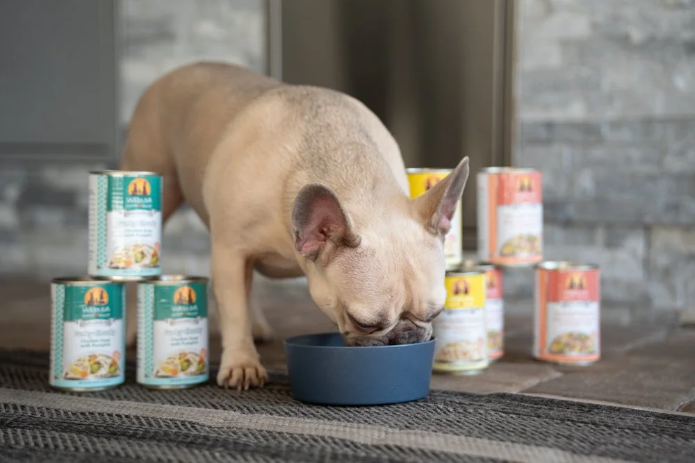 Weruva Pet Food Oct2024 raw, Love in Every Bite: A Visual Story with Weruva, photo by LeClair Media