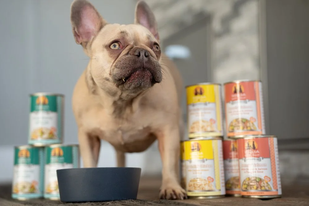 Weruva Pet Food Oct2024 raw (edit), Love in Every Bite: A Visual Story with Weruva, photo by LeClair Media
