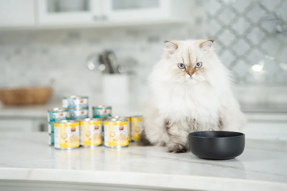 Weruva Pet Food Oct2024 raw, Love in Every Bite: A Visual Story with Weruva, photo by LeClair Media