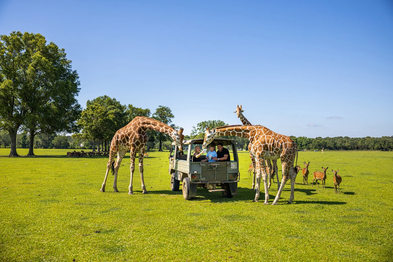 Global Wildlife Center, Louisiana Tourism, photo by LeClair Media
