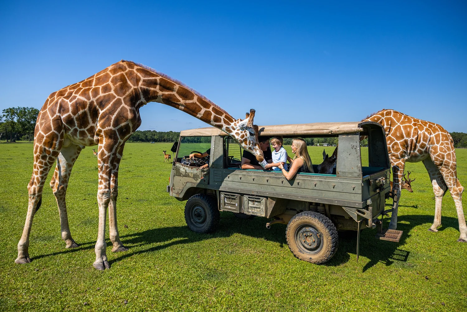 Global Wildlife Center, Louisiana Tourism, photo by LeClair Media