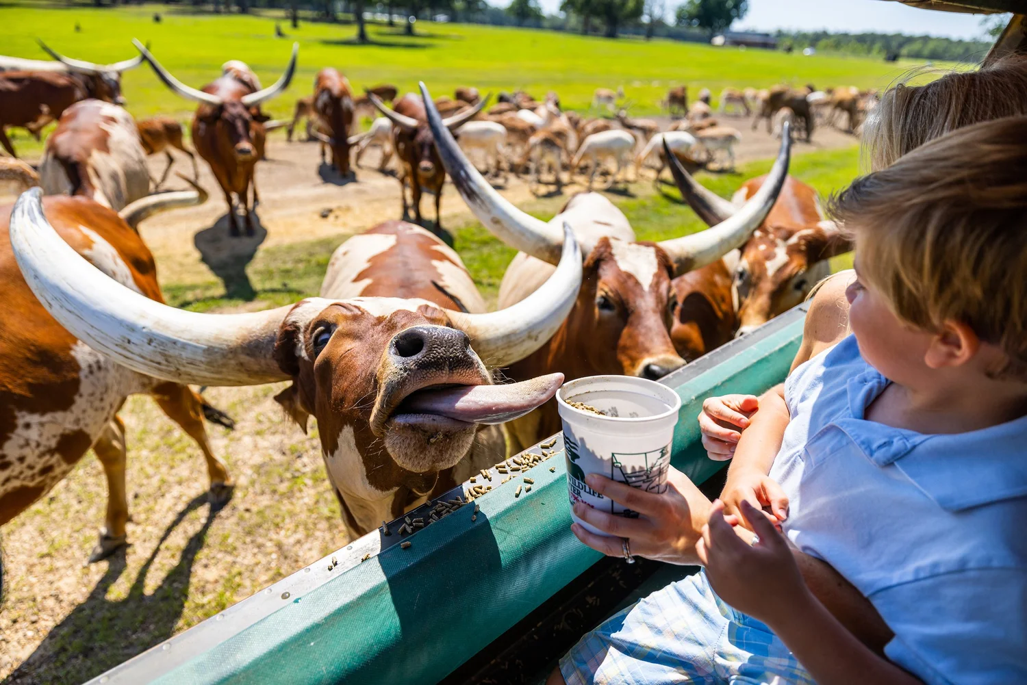 Global Wildlife Center, Louisiana Tourism, photo by LeClair Media