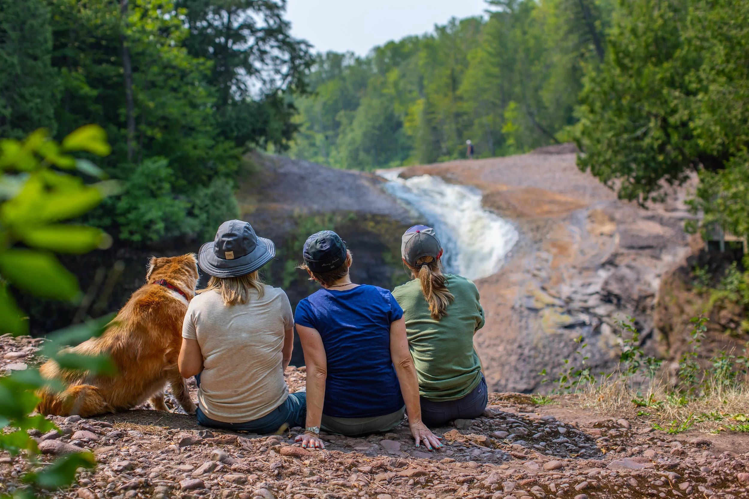 Four people and a dog sitting on rocky ground and looking at a waterfall in a forested area.