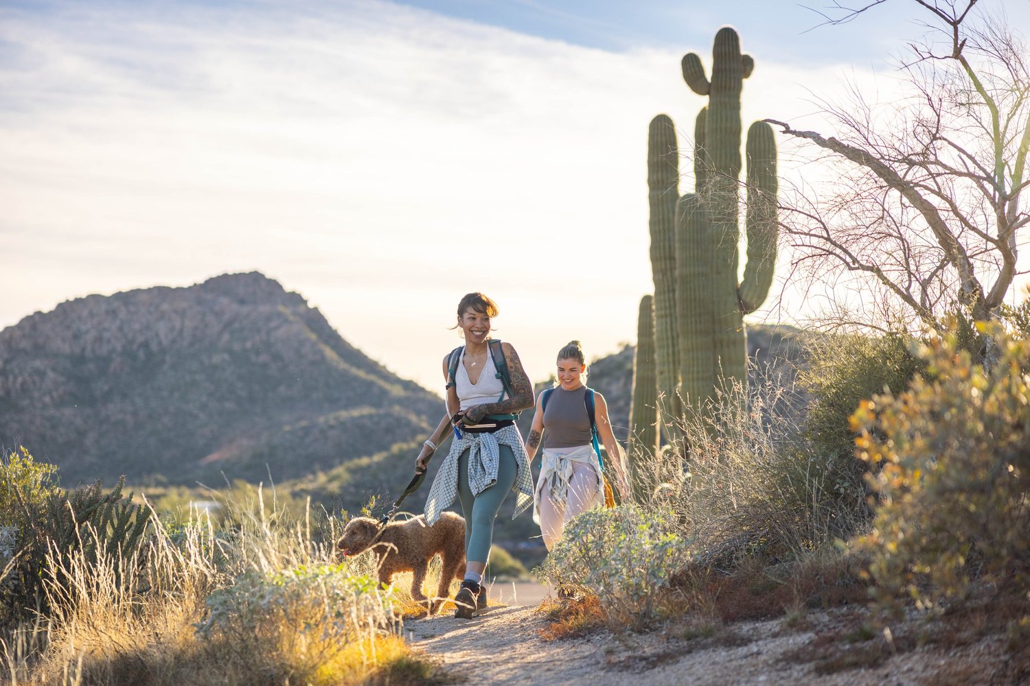 Two women hiking in a desert landscape with cacti and mountains in the background, accompanied by a brown dog, during sunset.