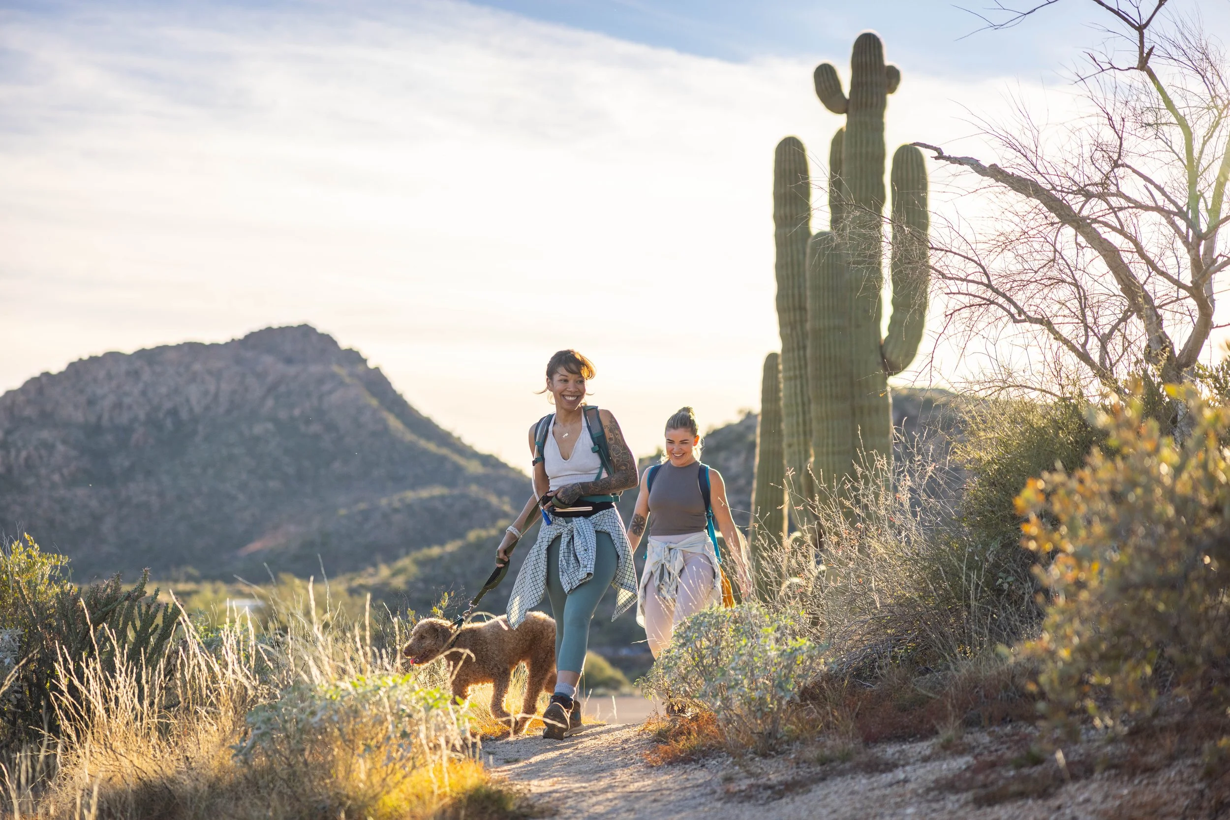 Two women hiking in a desert landscape with cacti and mountains in the background, accompanied by a small brown dog, during sunset or sunrise.