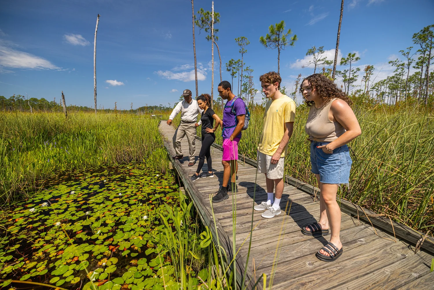 Big Branch Marsh National Wildlife Refuge, Louisiana Tourism, photo by LeClair Media