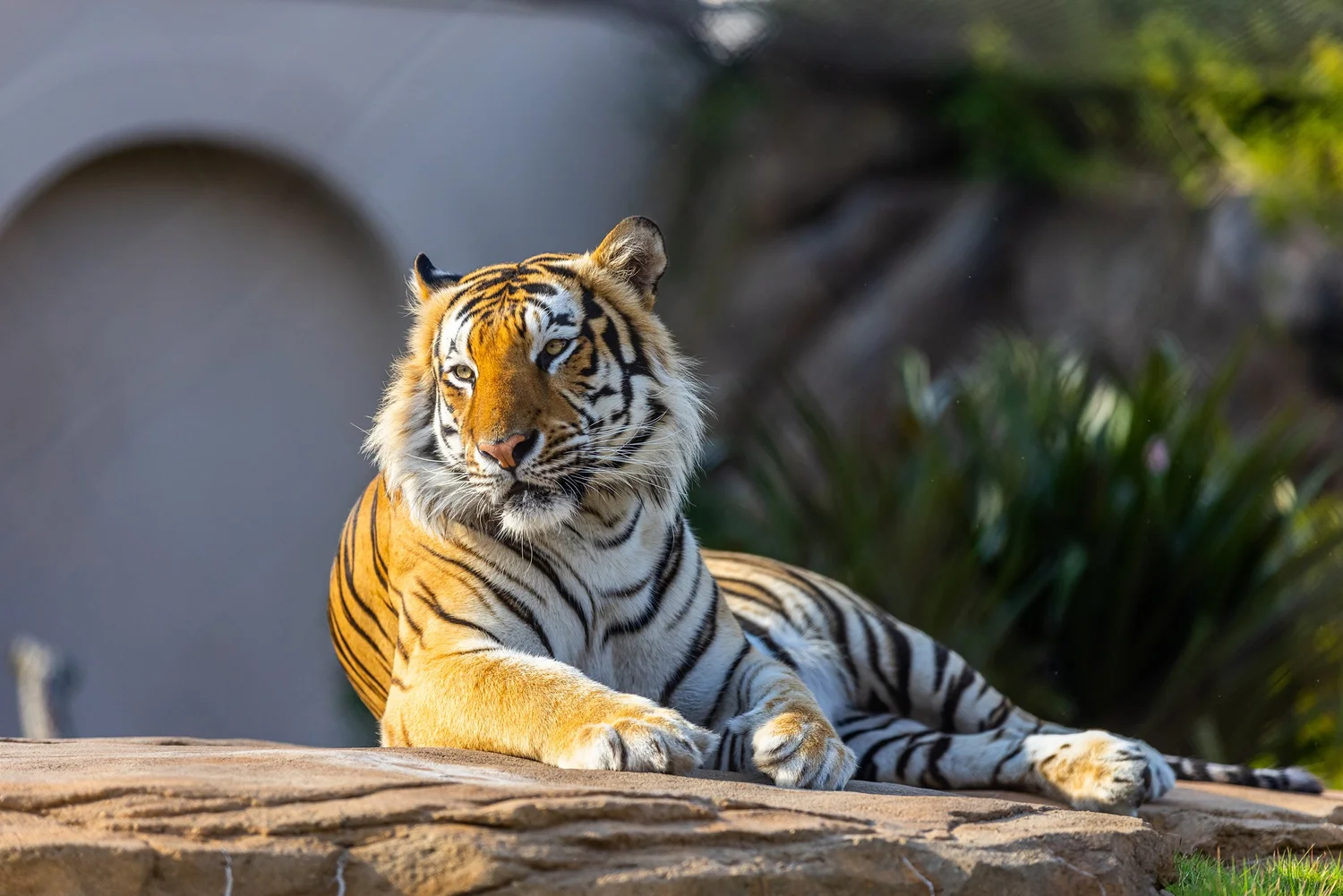 LSU Mikes Habitat, Louisiana Tourism, photo by LeClair Media